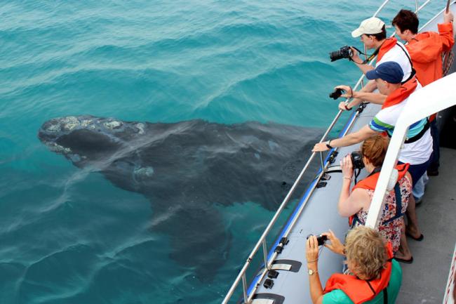 andBeyond - Travel with purpose in South Africa