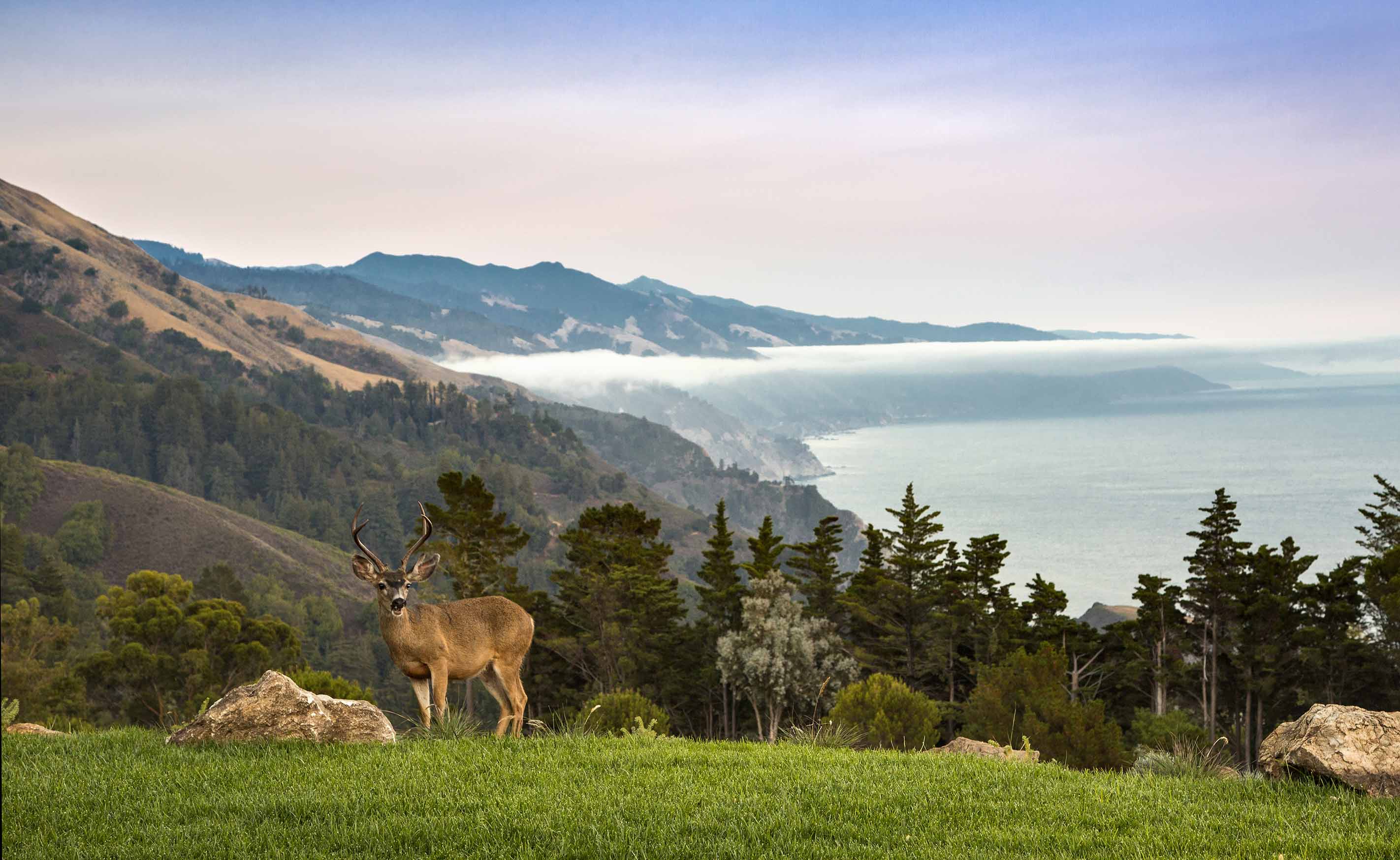 Post Ranch Inn in Big Sur, California, United States - Beyond Green ...