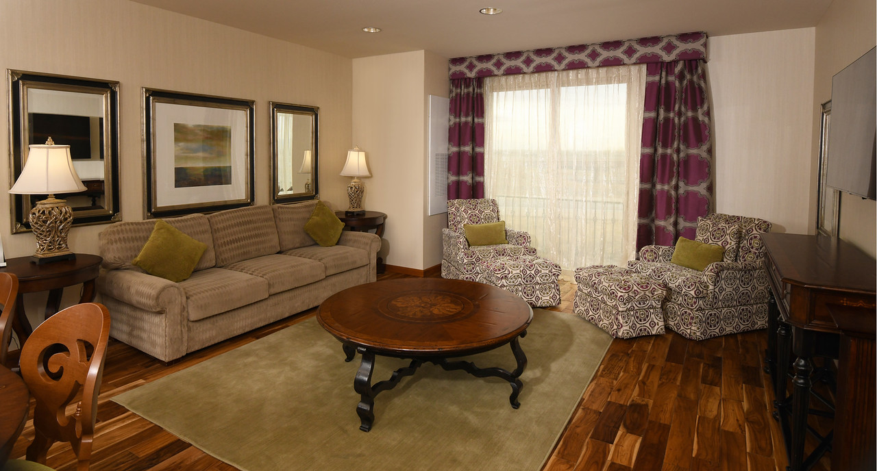 vip suite living room