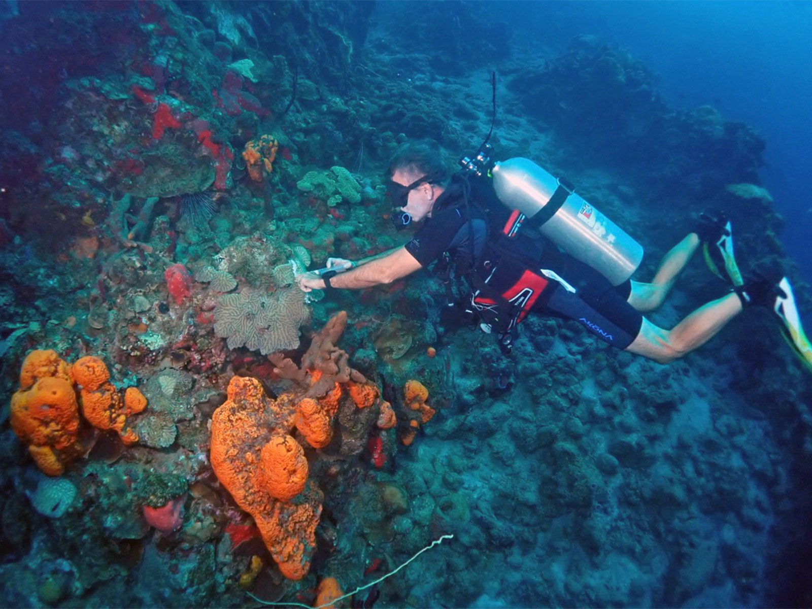 coral protection diver treating