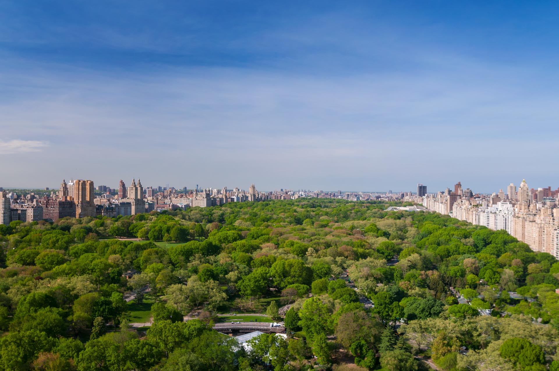 Park Lane View of Central Park NYC