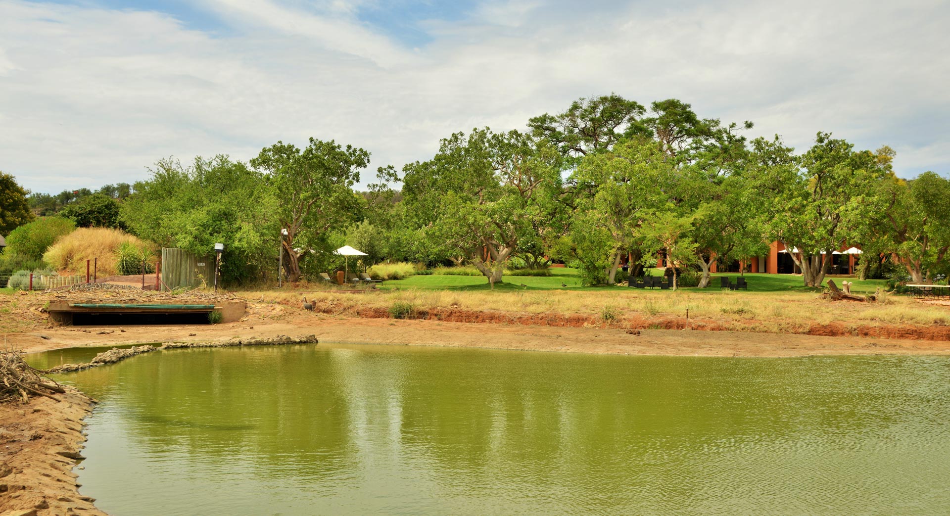 the garden and hide as seen from over the waterhole