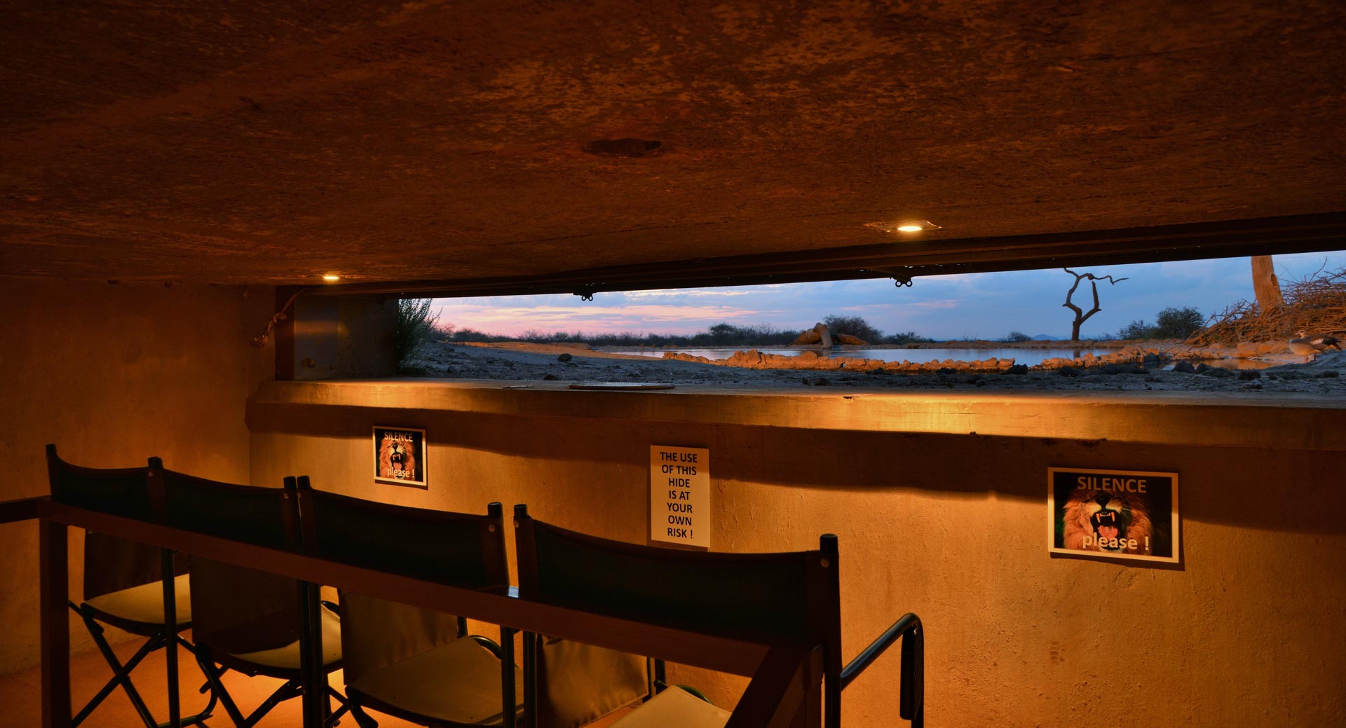 the waterhole from the photographic hide