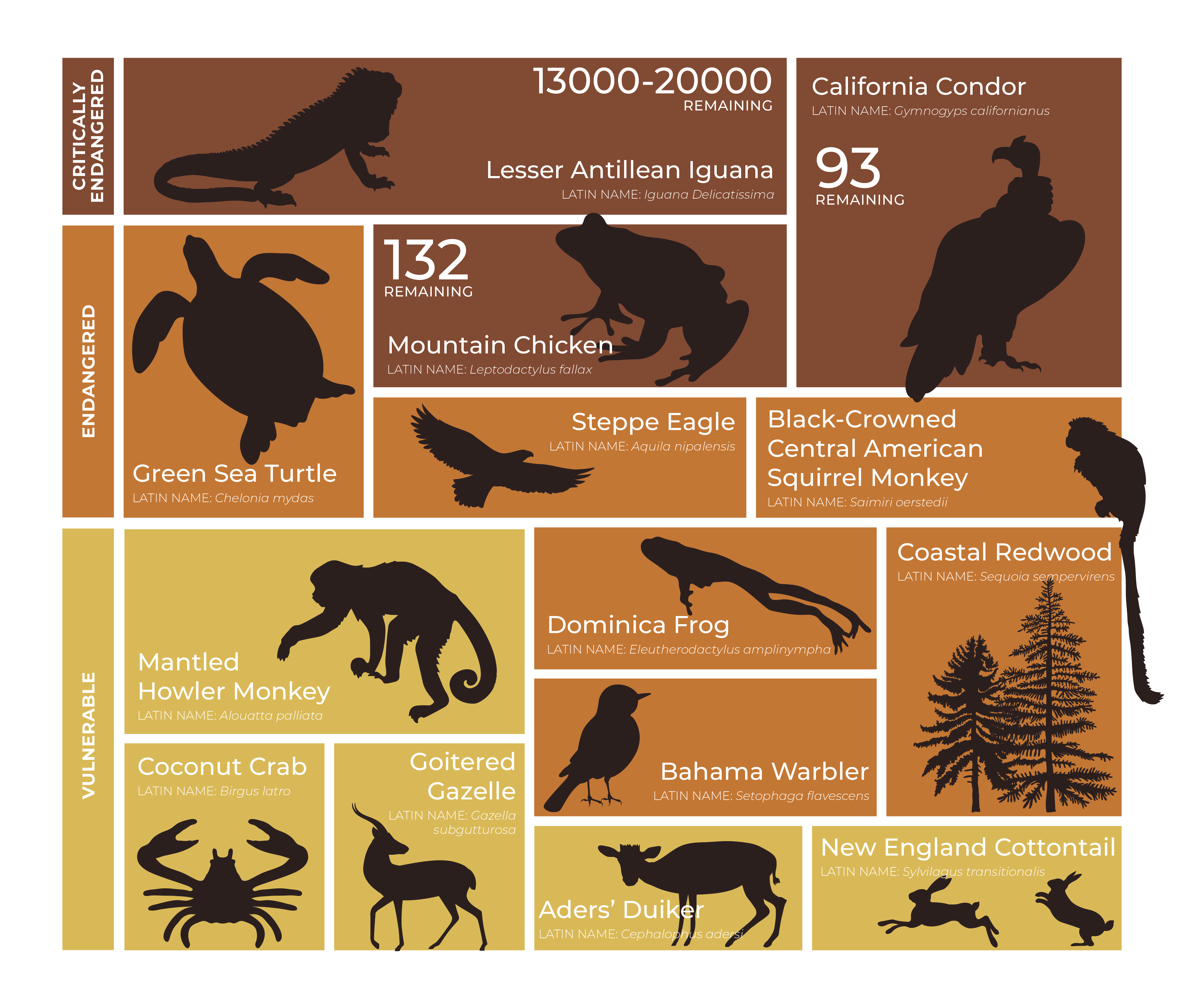 Endangered Species Chart