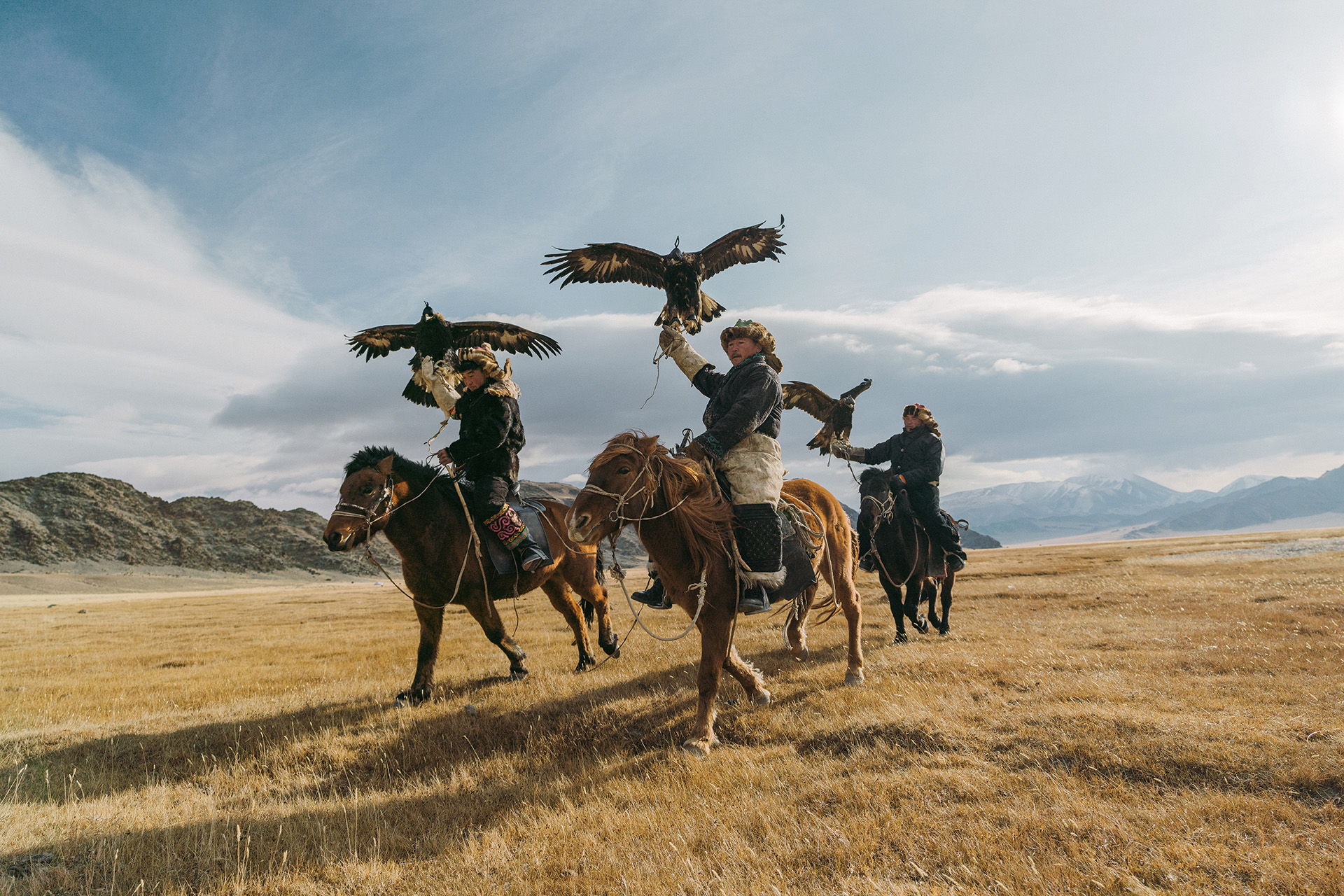 Falconry in Mongolia