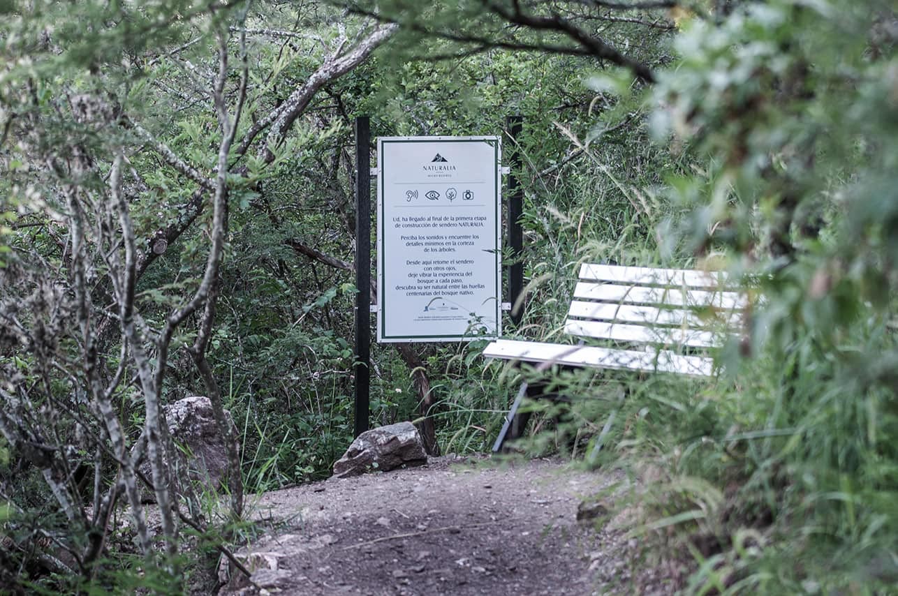 Natural Micro Reserve Nature Trails and Bench