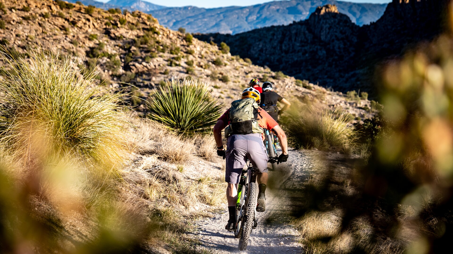 Mountain Biking/Hiking