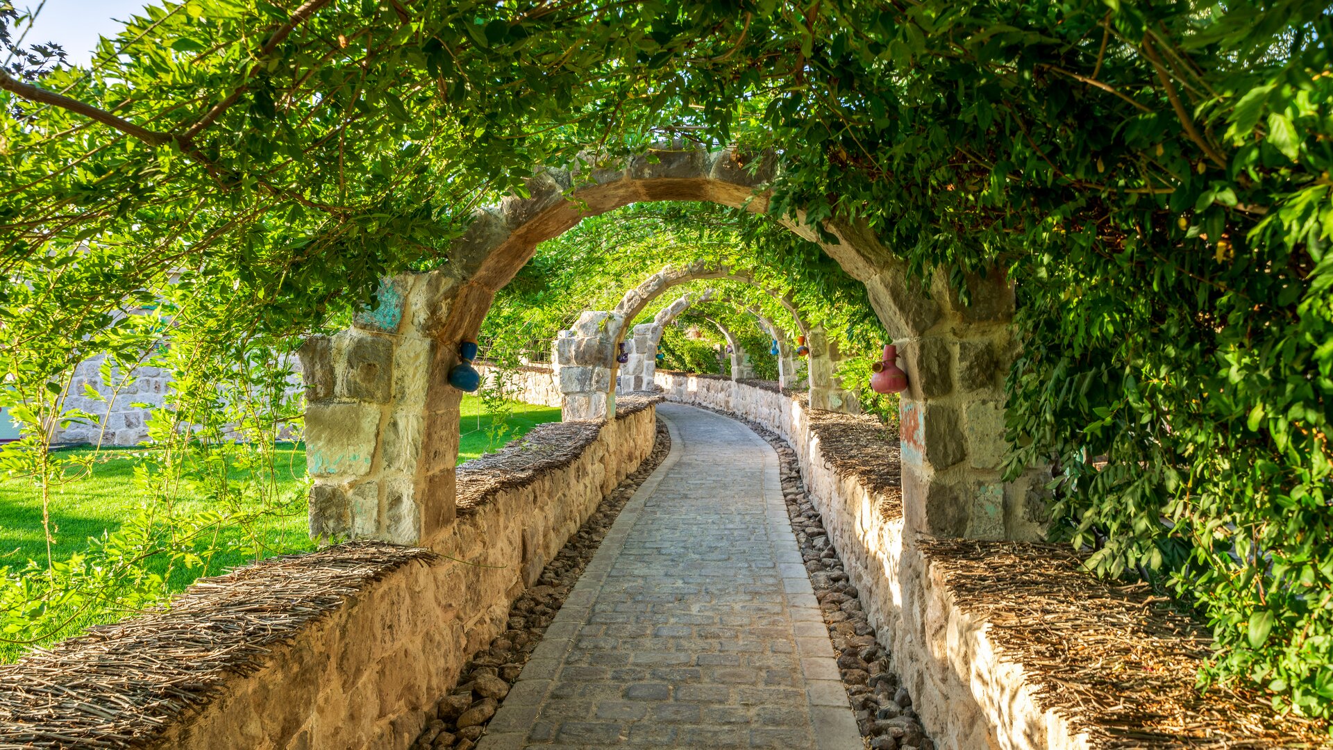 Garden Walkway Overgrowth