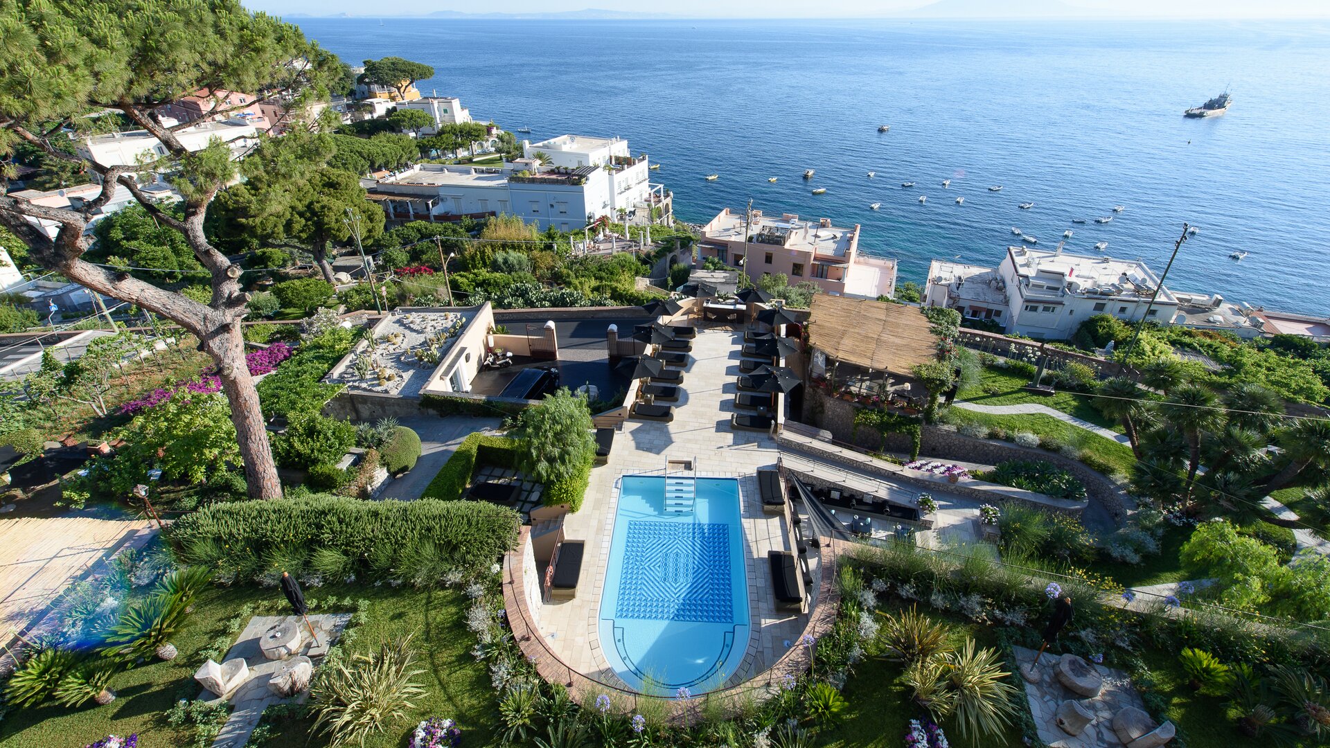 Pool Aerial Shot