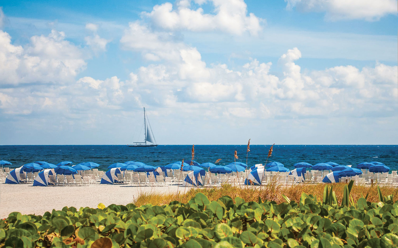 Beach Lounge