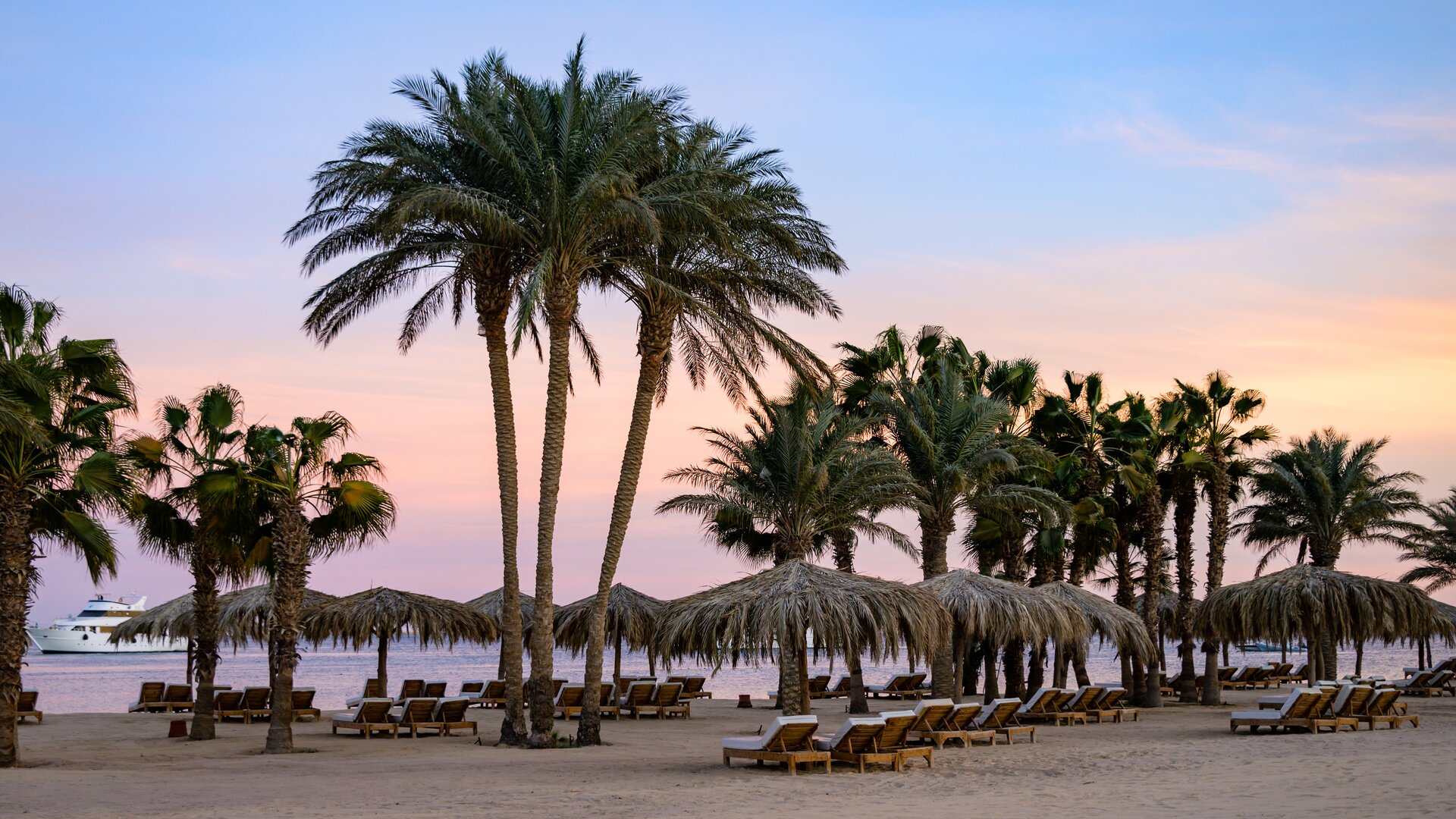 Beach and Loungers