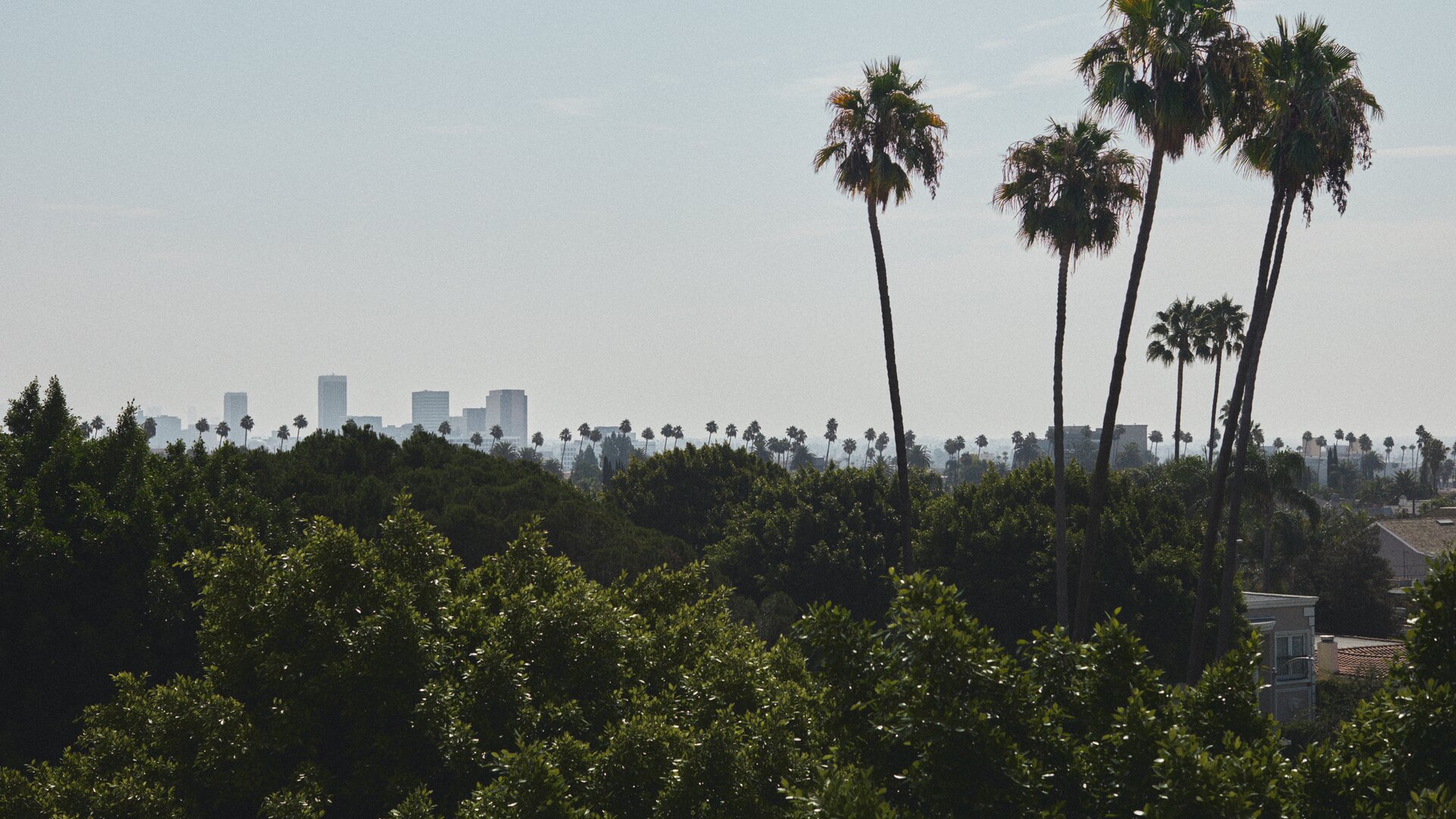 View of Beverly Hills from L'Ermitage