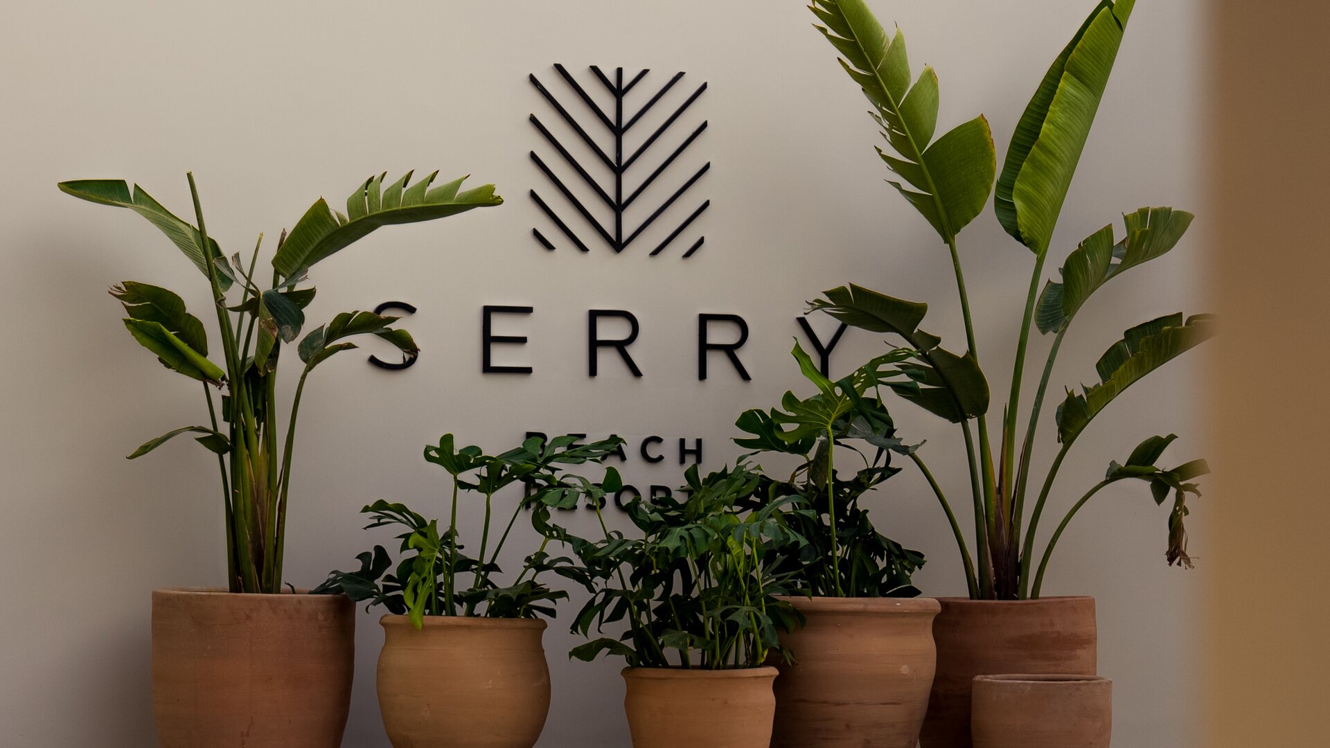 Interior Wall and Plants