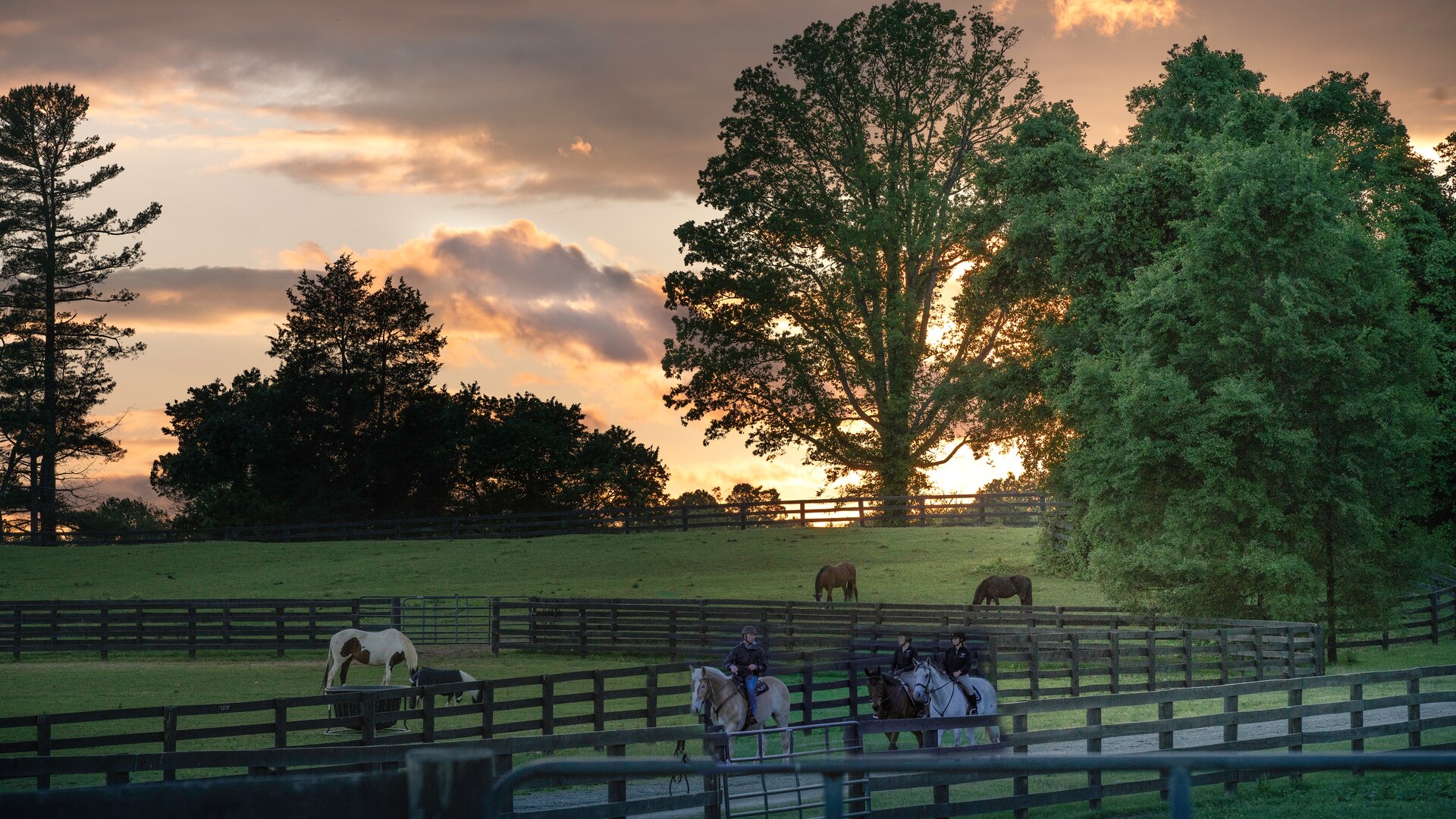 Horseback riding at Sunset