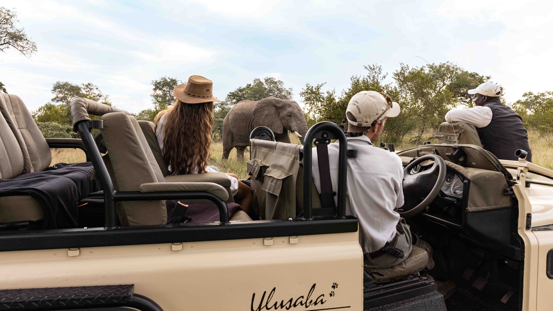 Safari with Guest & Elephant