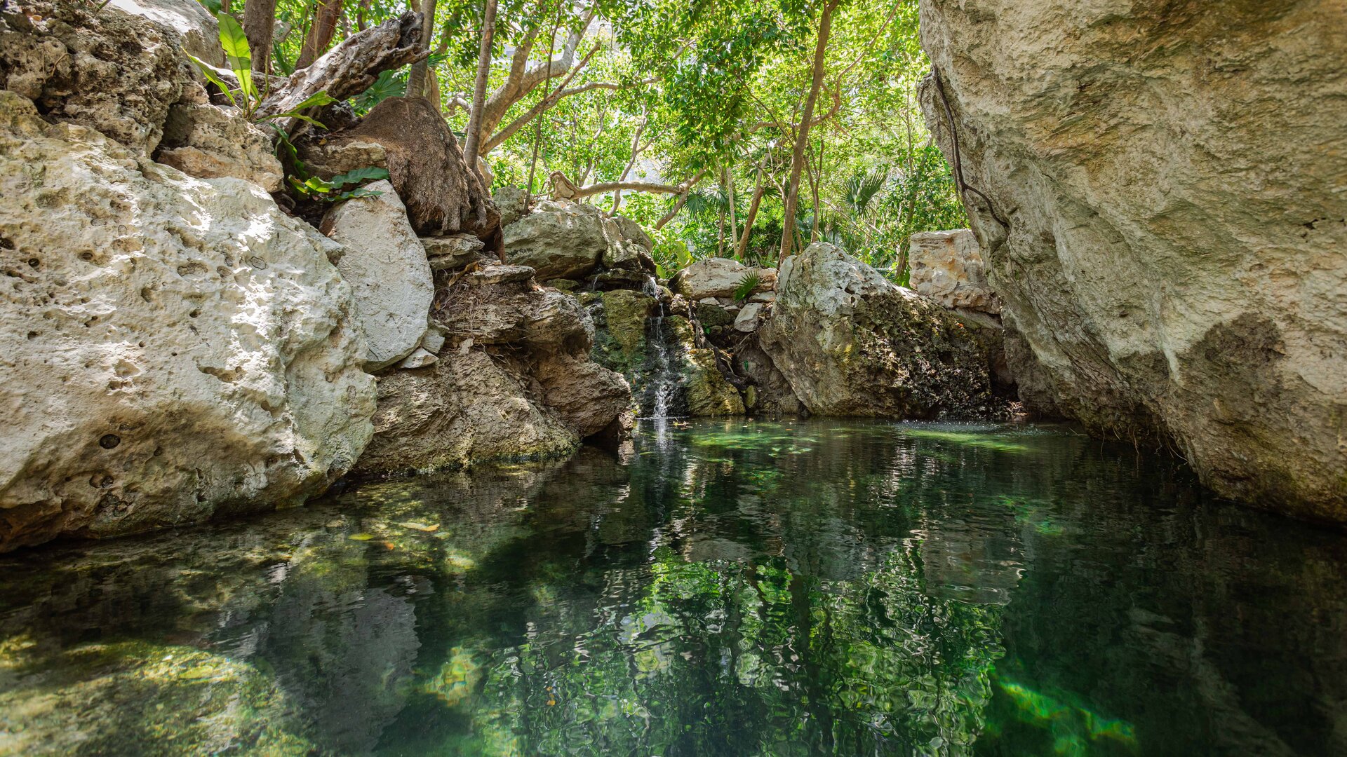 Cenote Las Casas