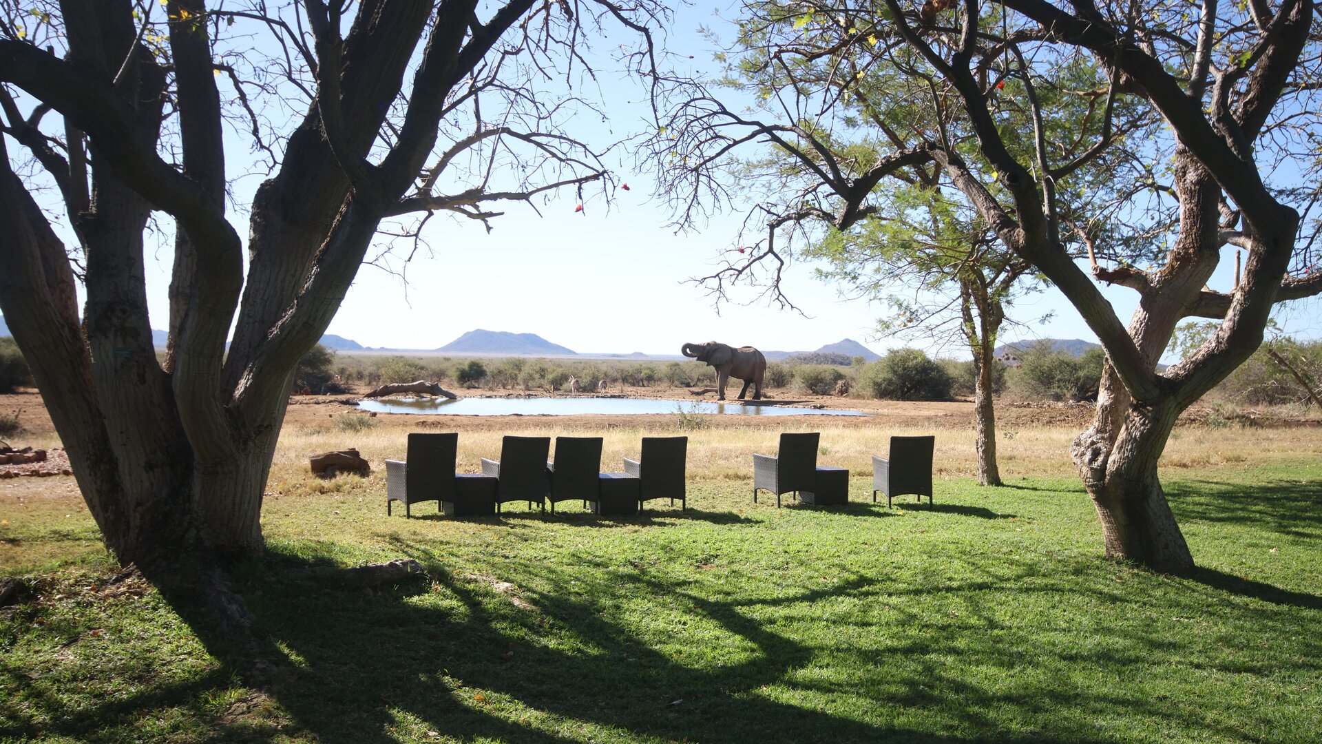 Game Sighting Lounge Chairs