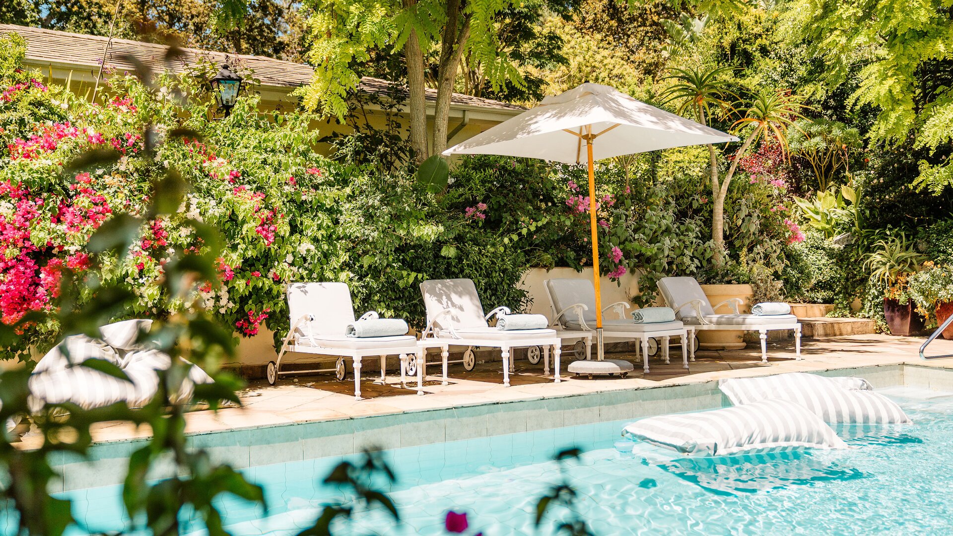 Pool & Lounge Chairs