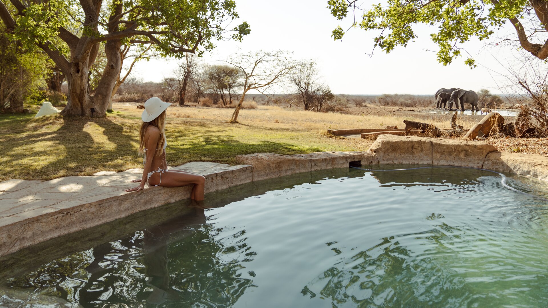 Pool & Elephant Sighting