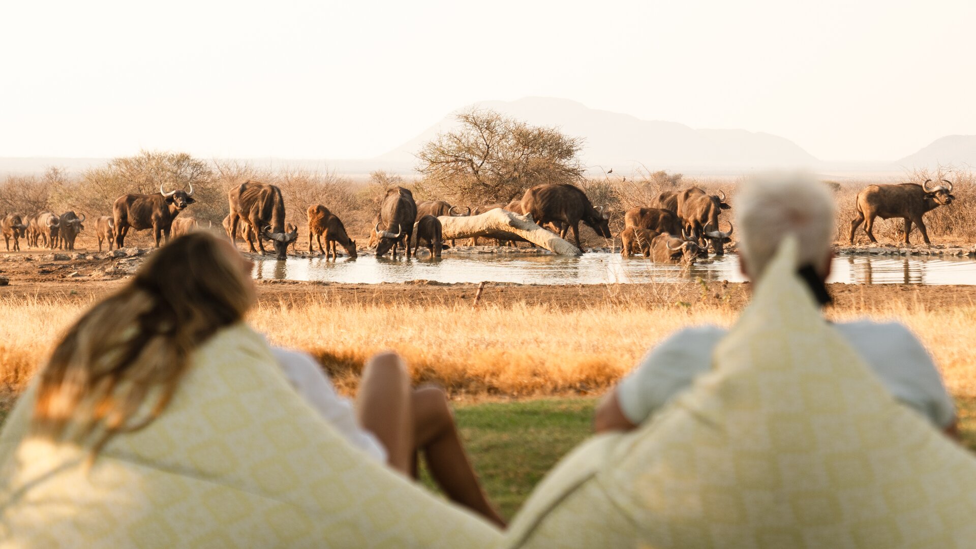 Wild Game Sighting by Waterhole