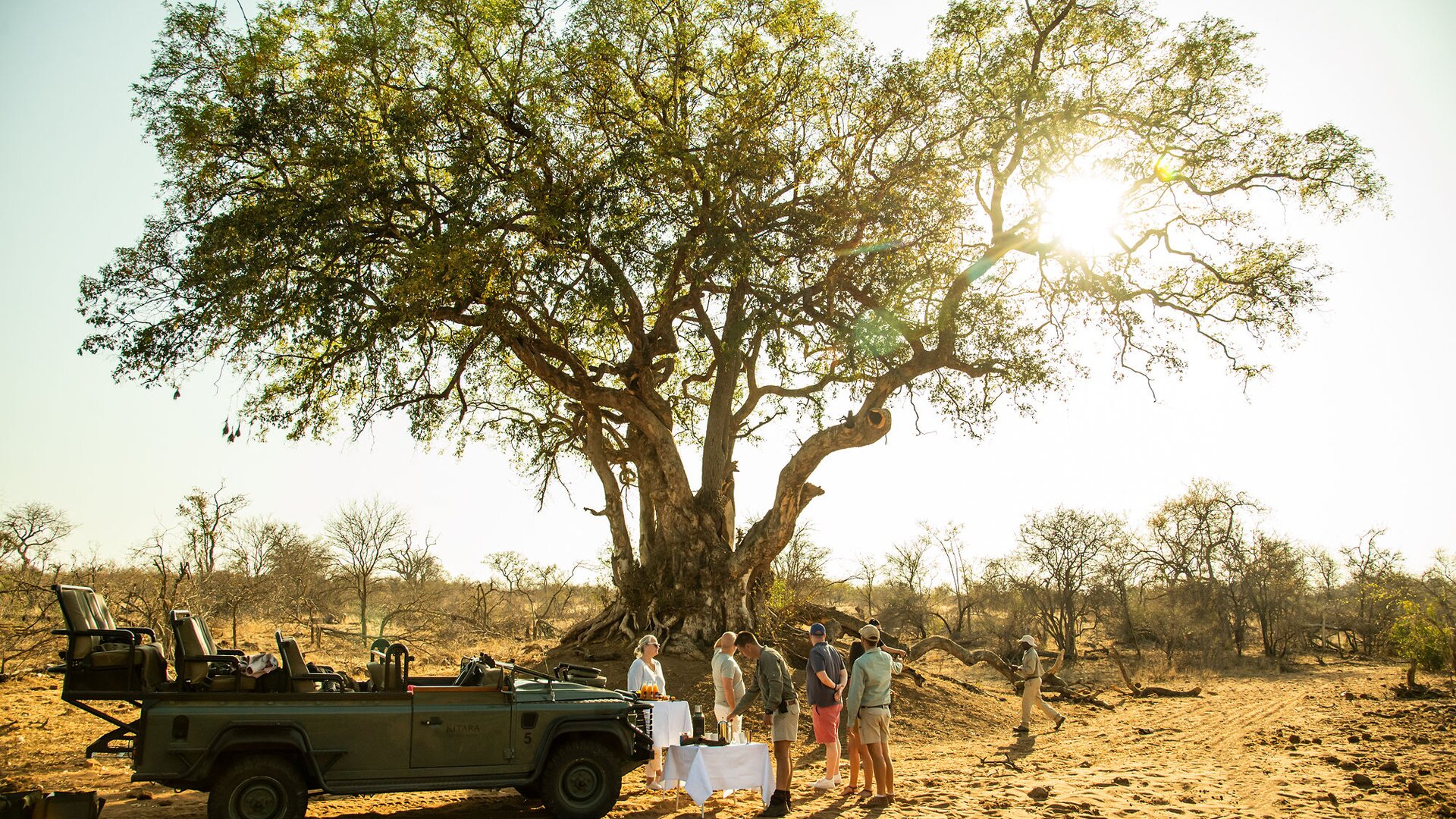 Dining in the Bush