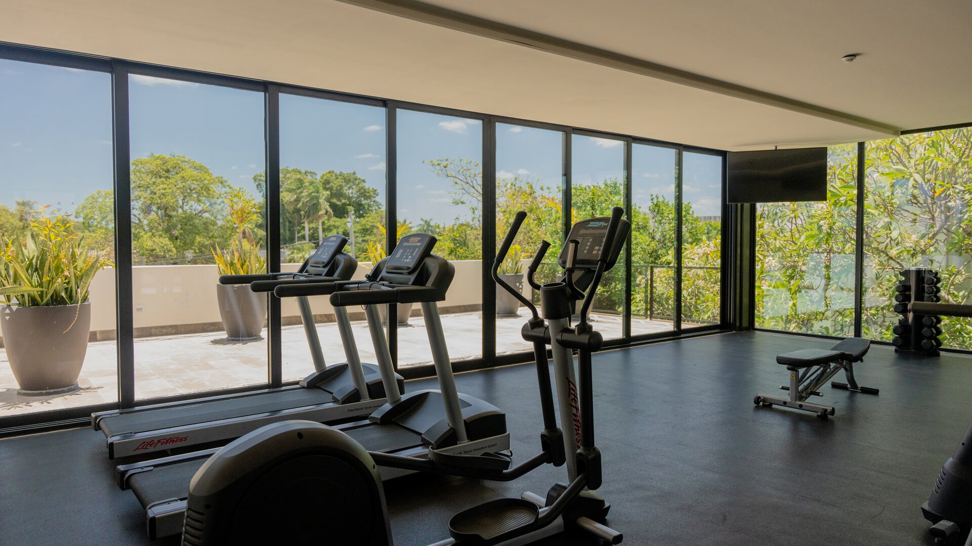 Gym