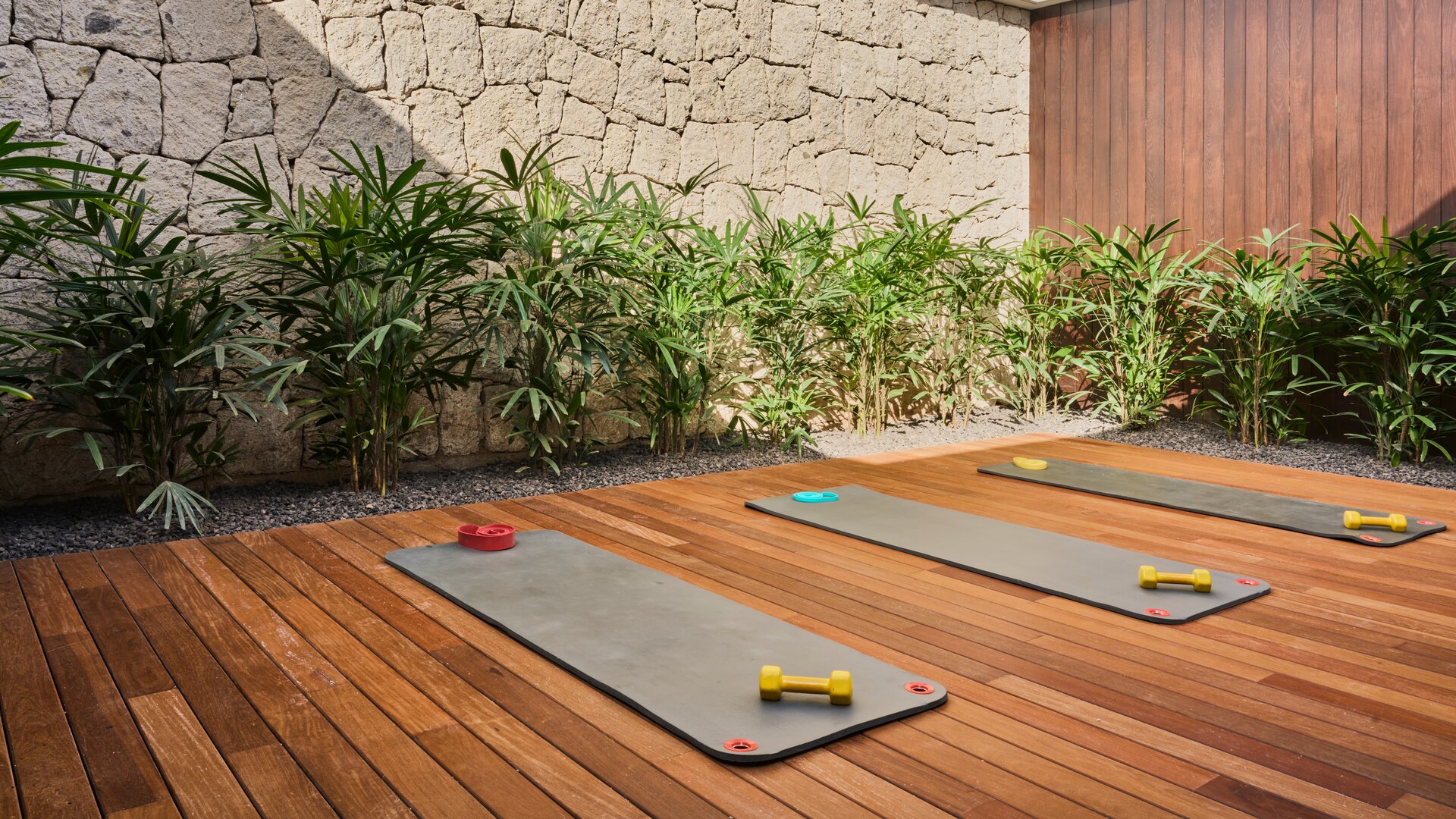 Yoga or Workout Gym with Garden