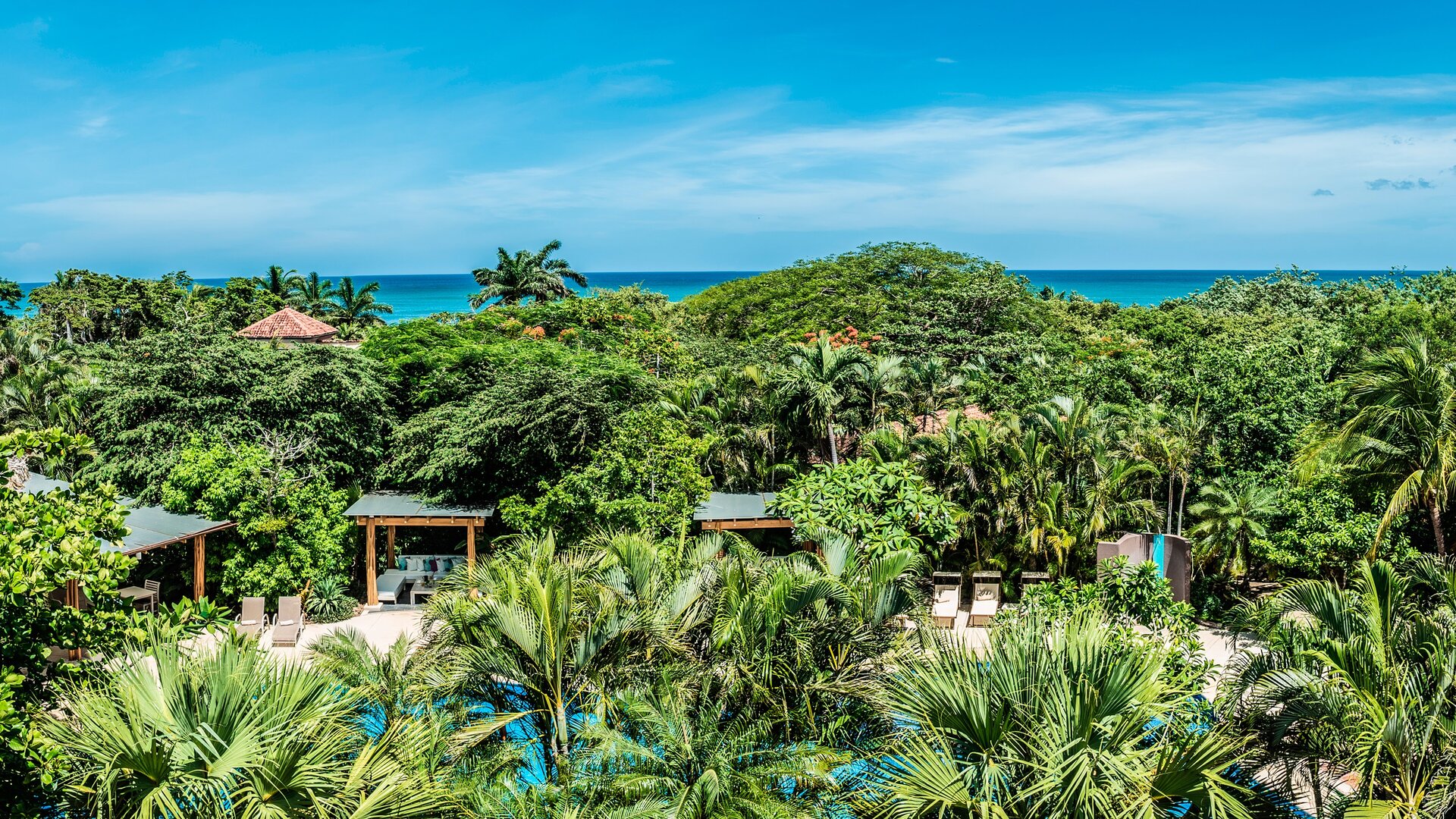 Aerial View of Pool Amongst Trees with Ocean in the Background