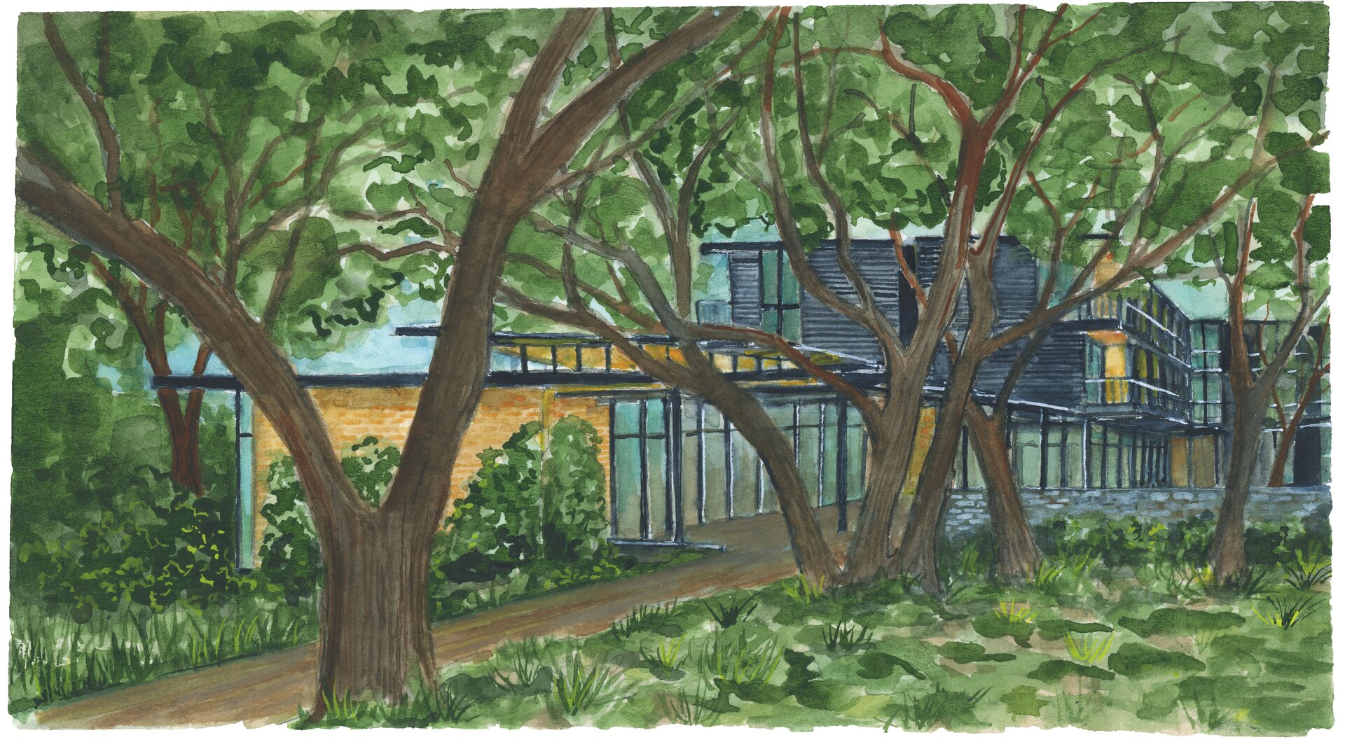Sketch of Exterior Entrance