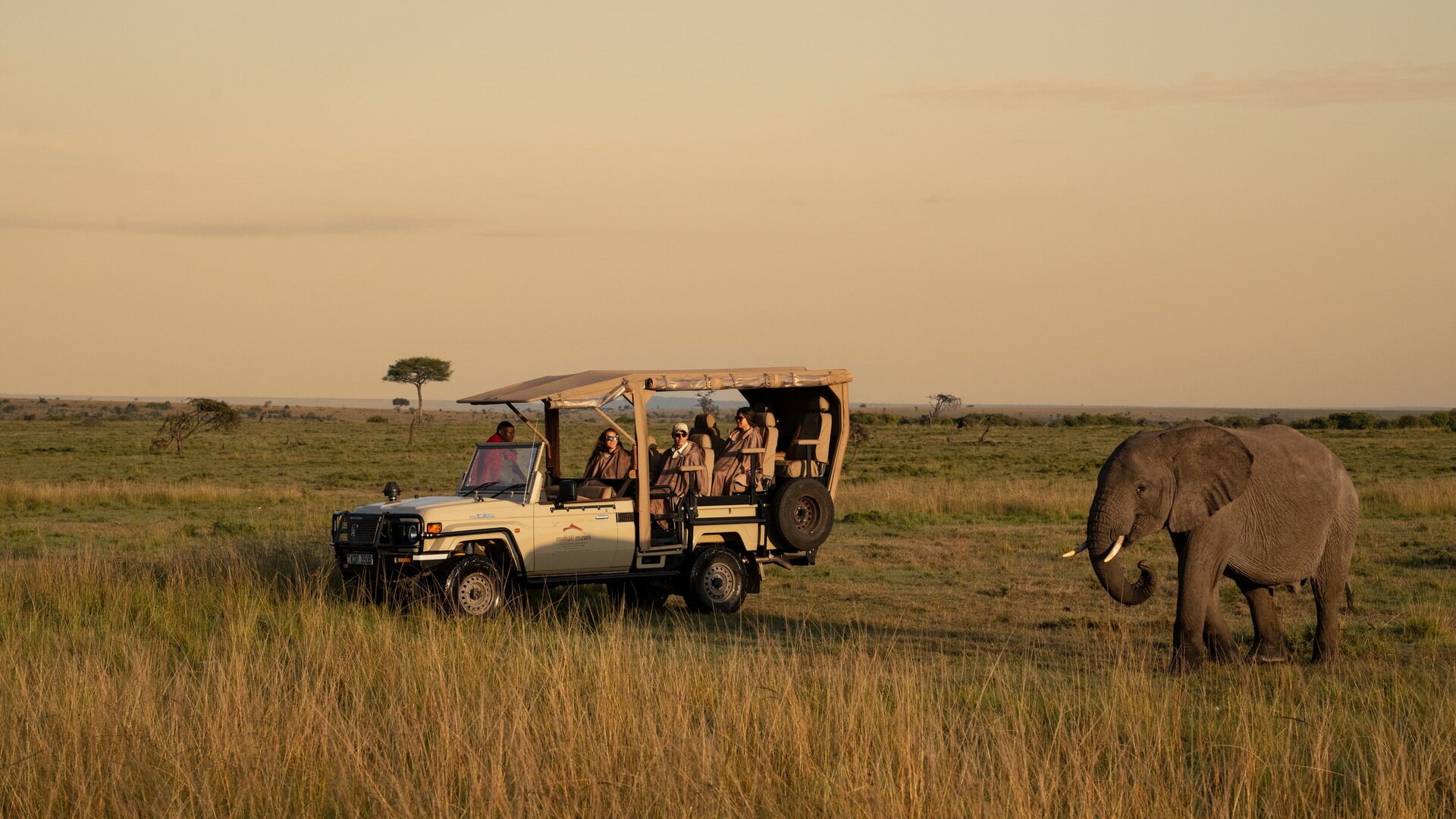 Game Drive Elephant Sighting
