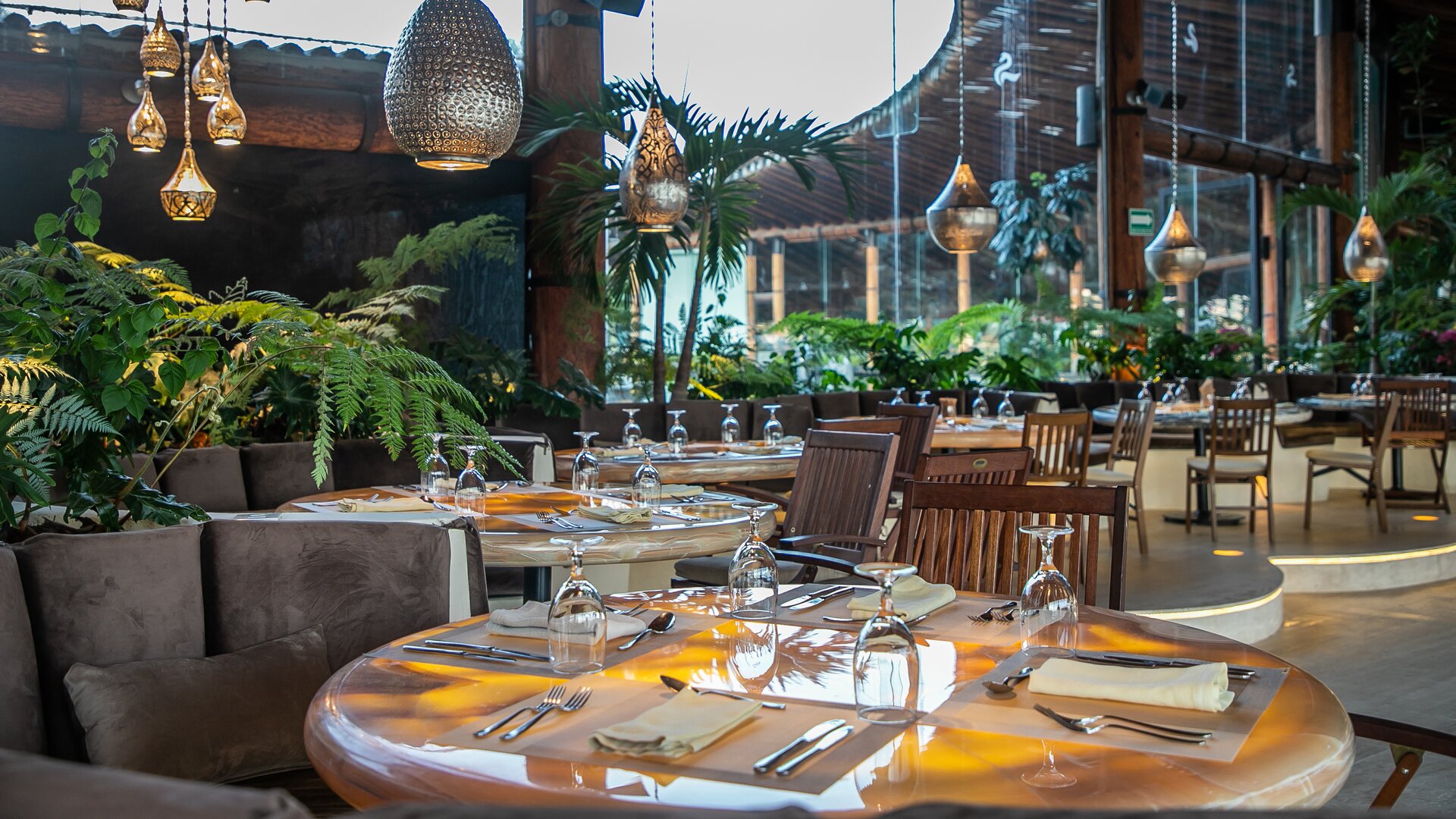 Restaurant Dining