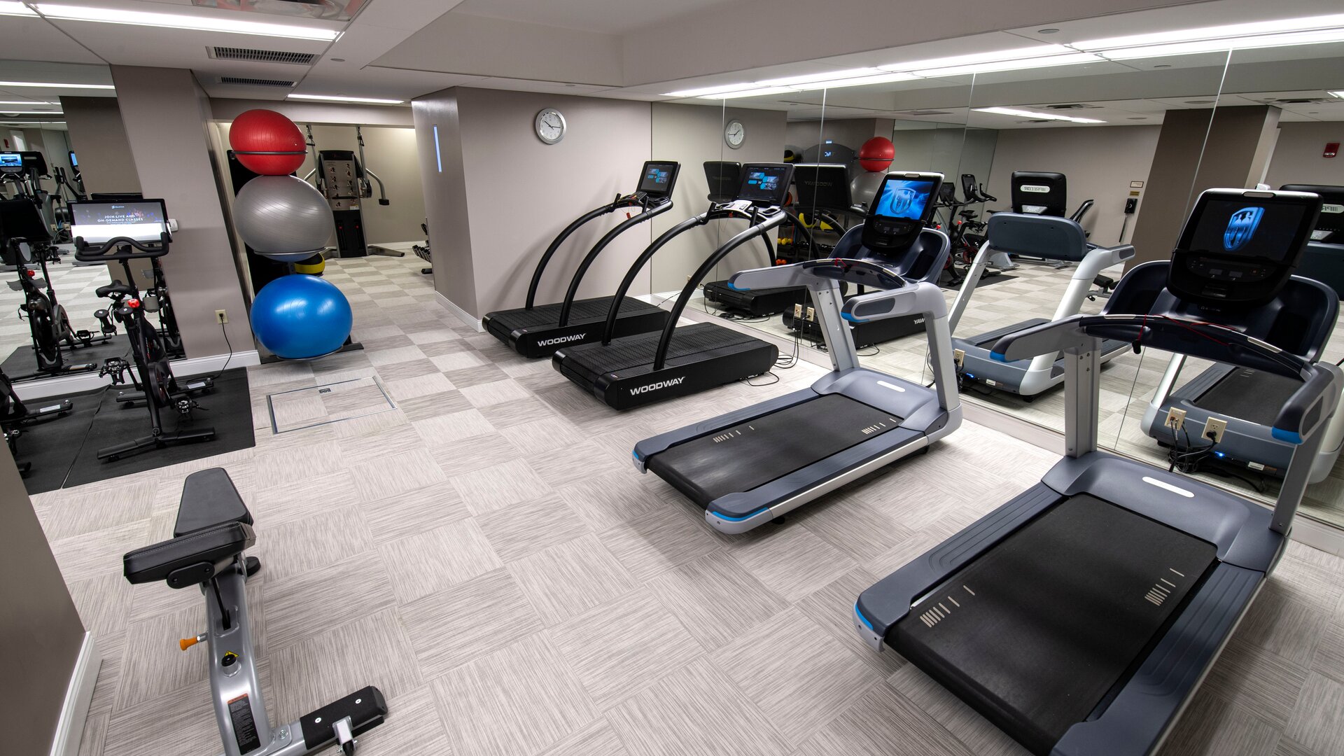 Fitness
