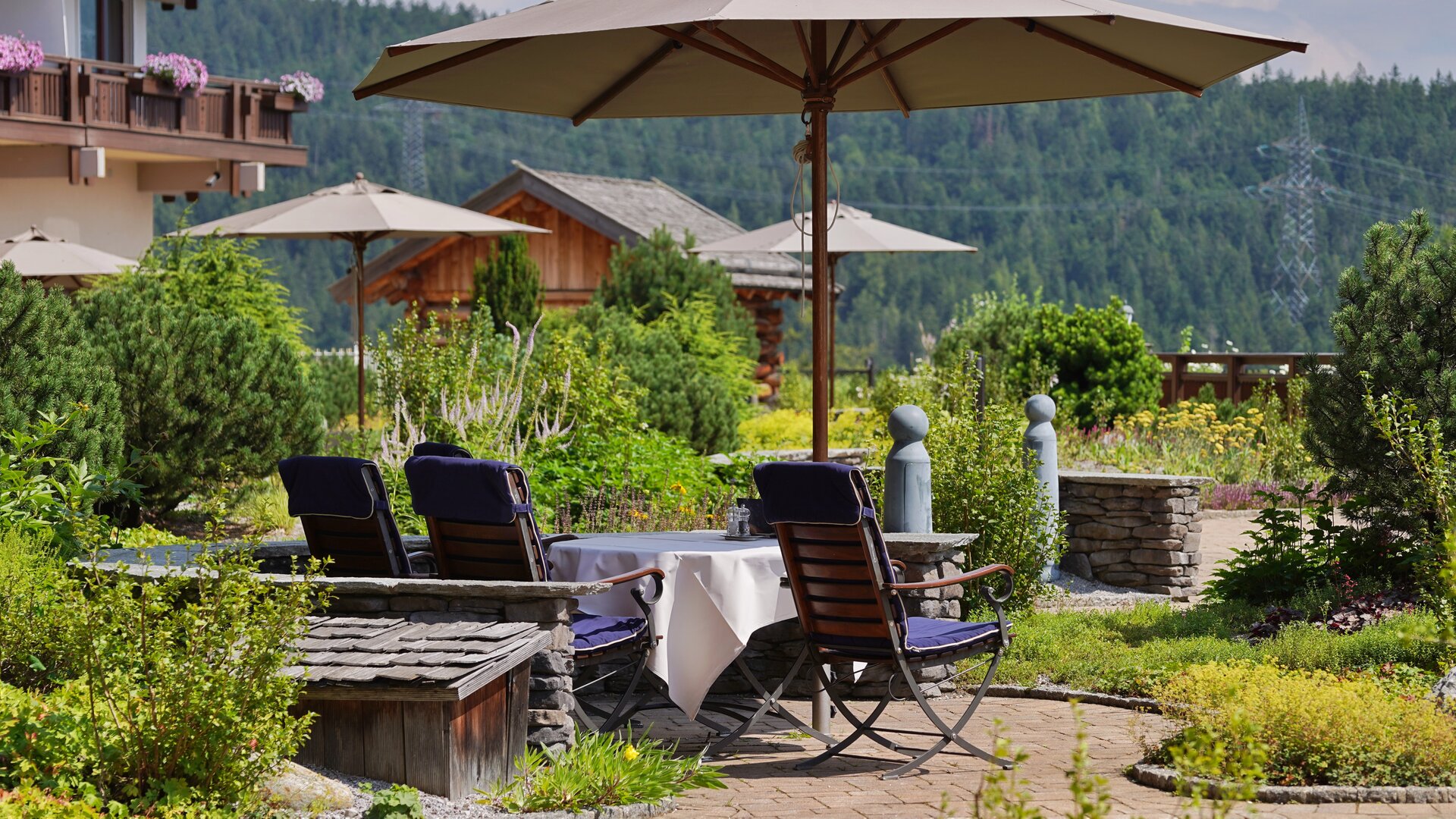 Outdoor Dining and Lounge