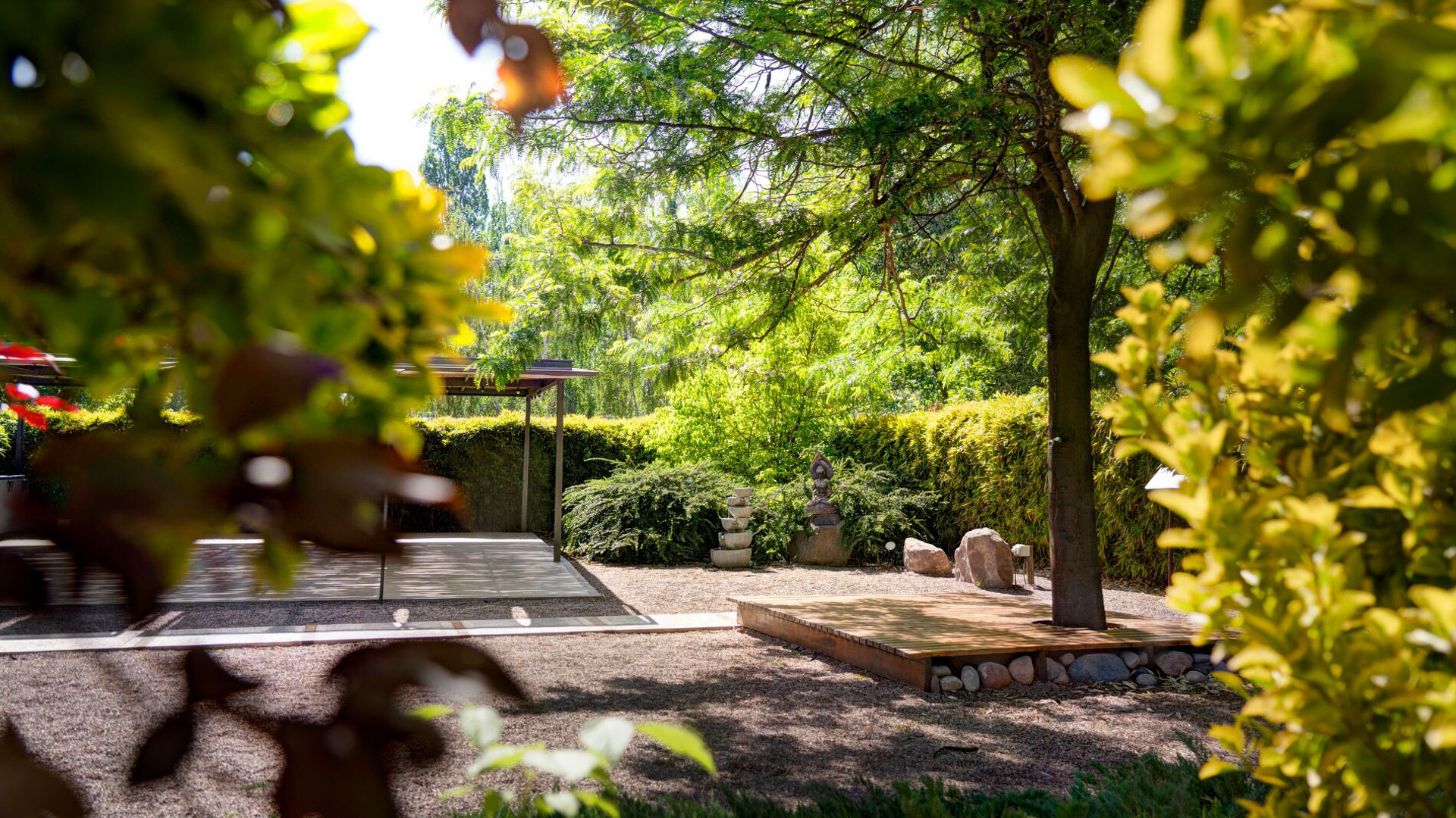 Zen Garden