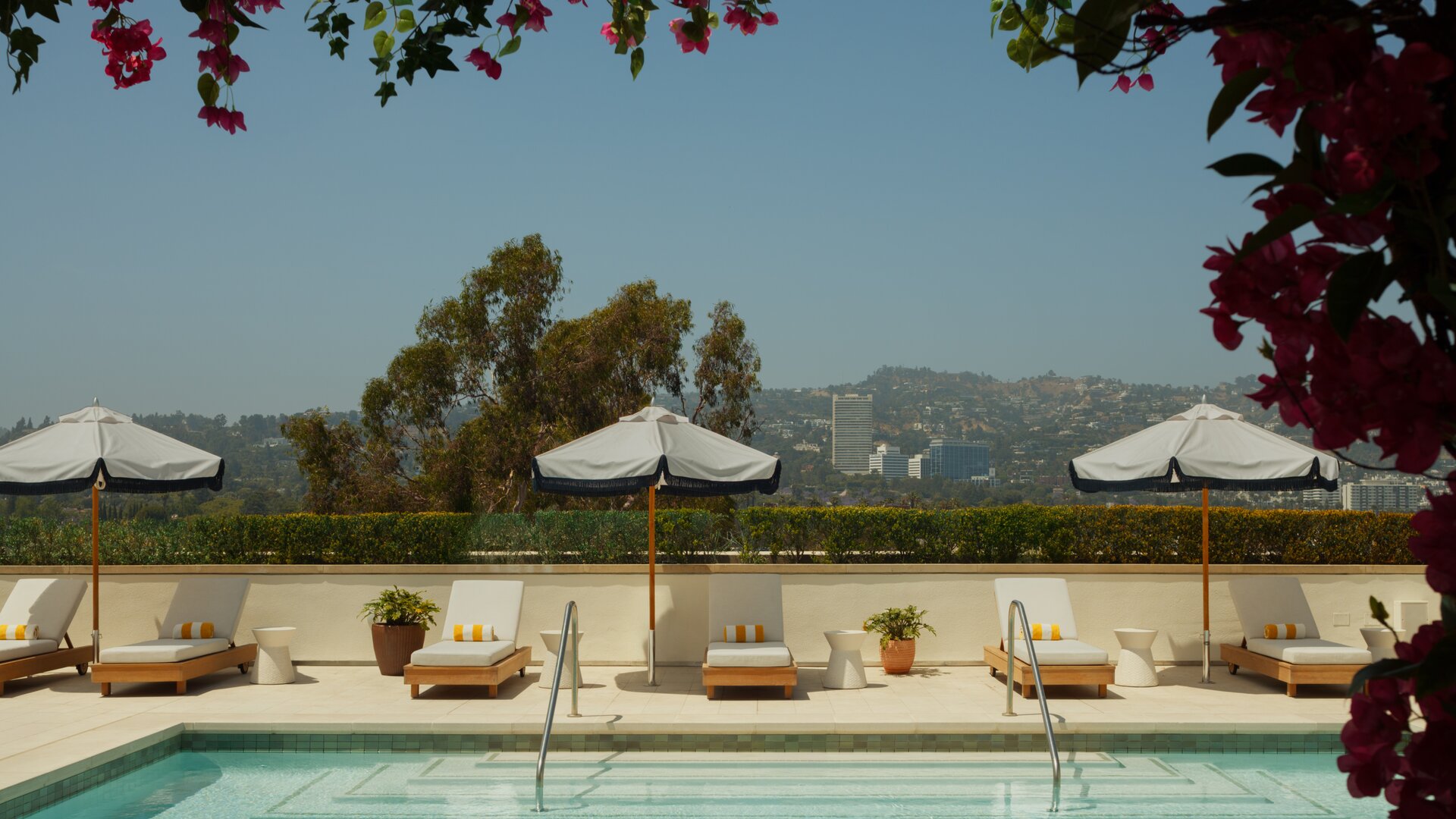 Rooftop Pool