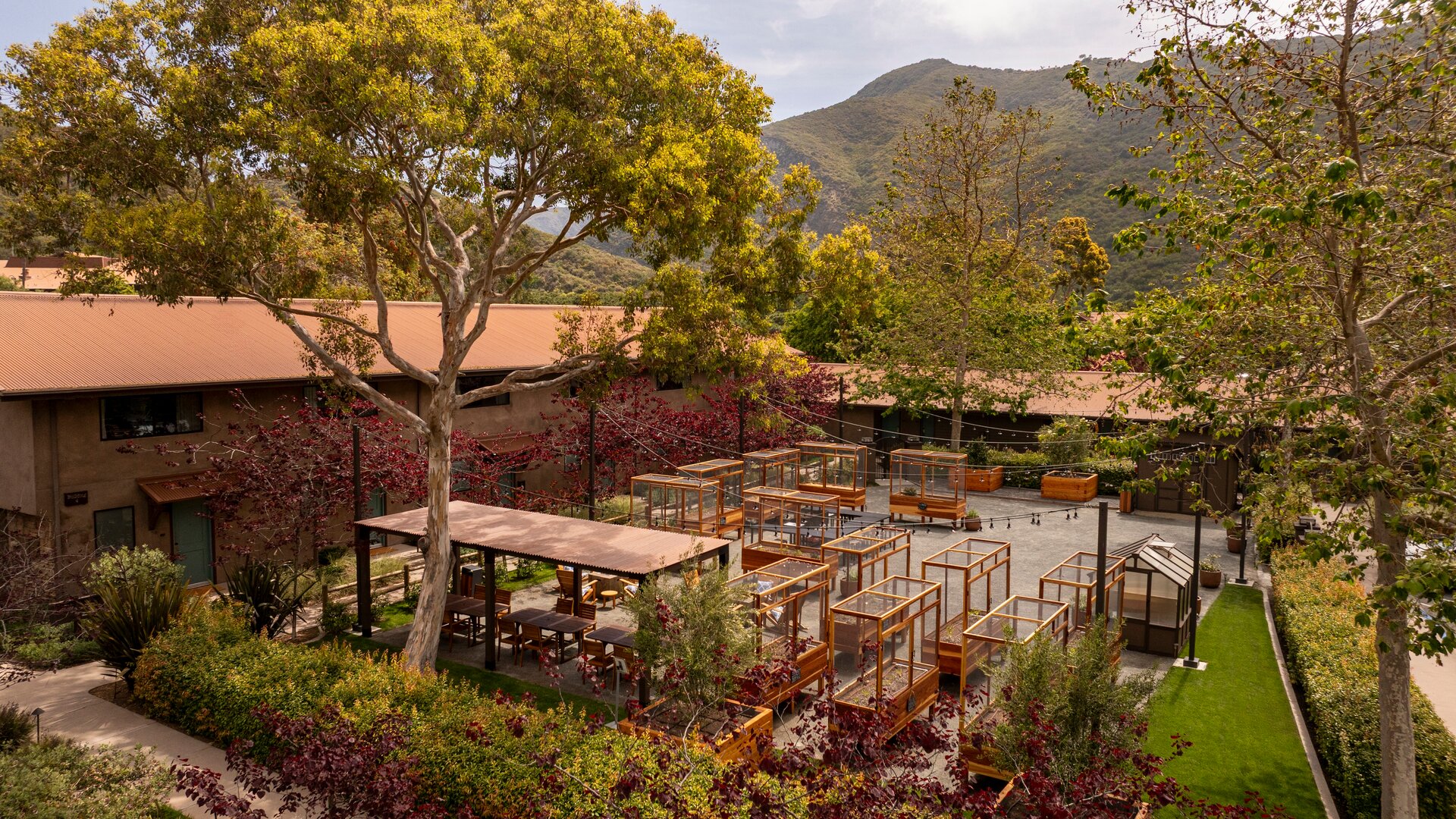 Chef's Garden