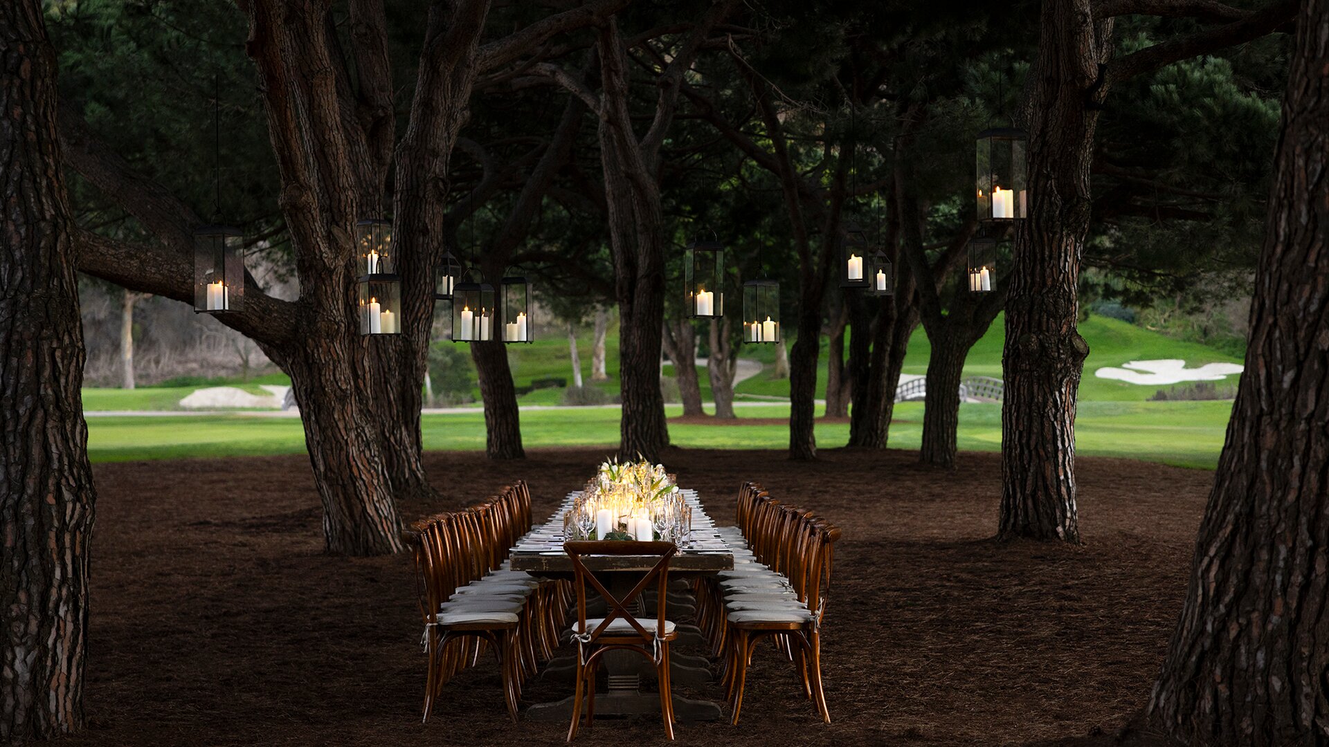 The Grove Party Dining Under Trees