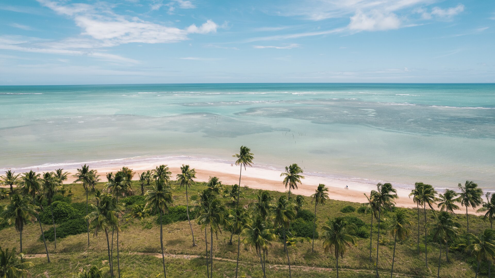 Aerial View of Beach