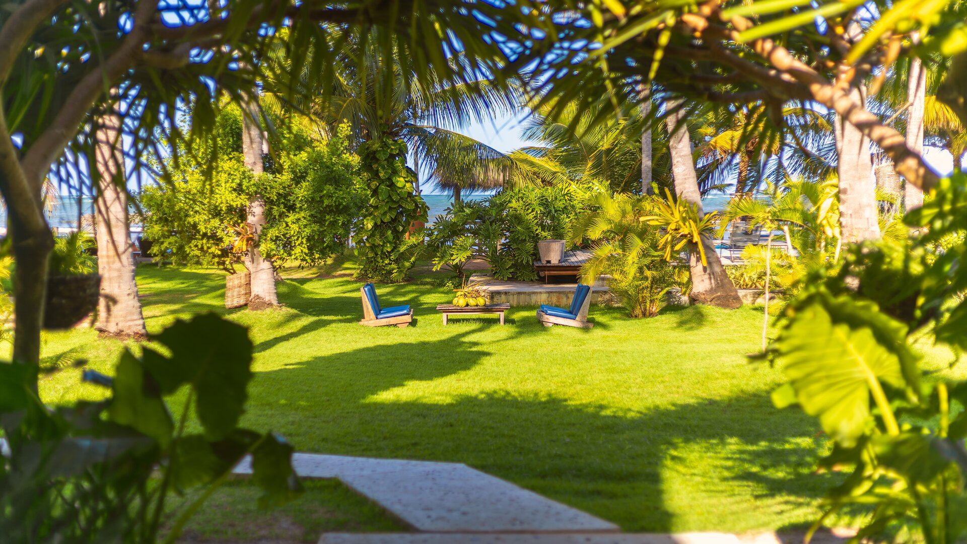 Garden by Pool