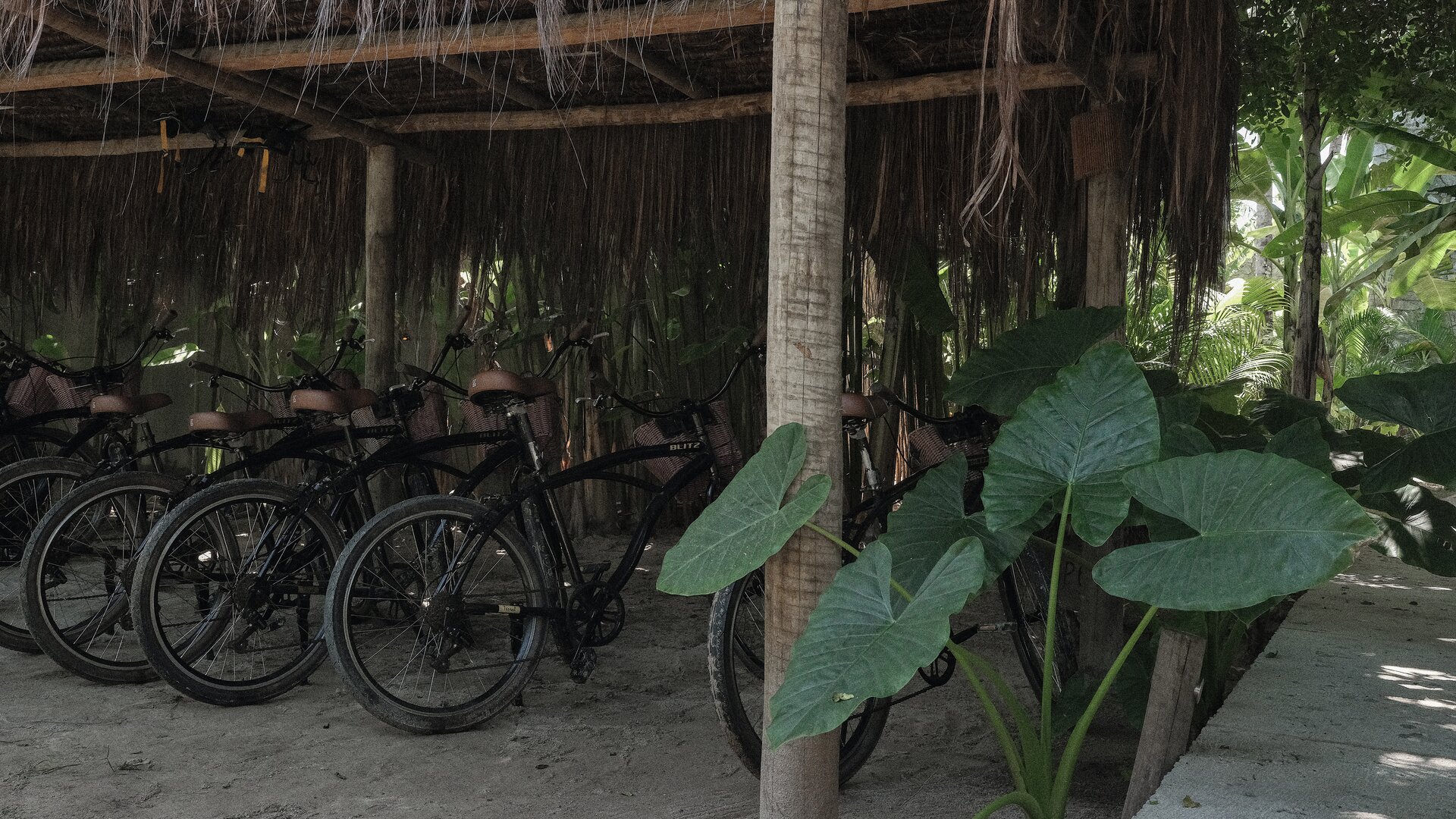 Bikes for a Ride