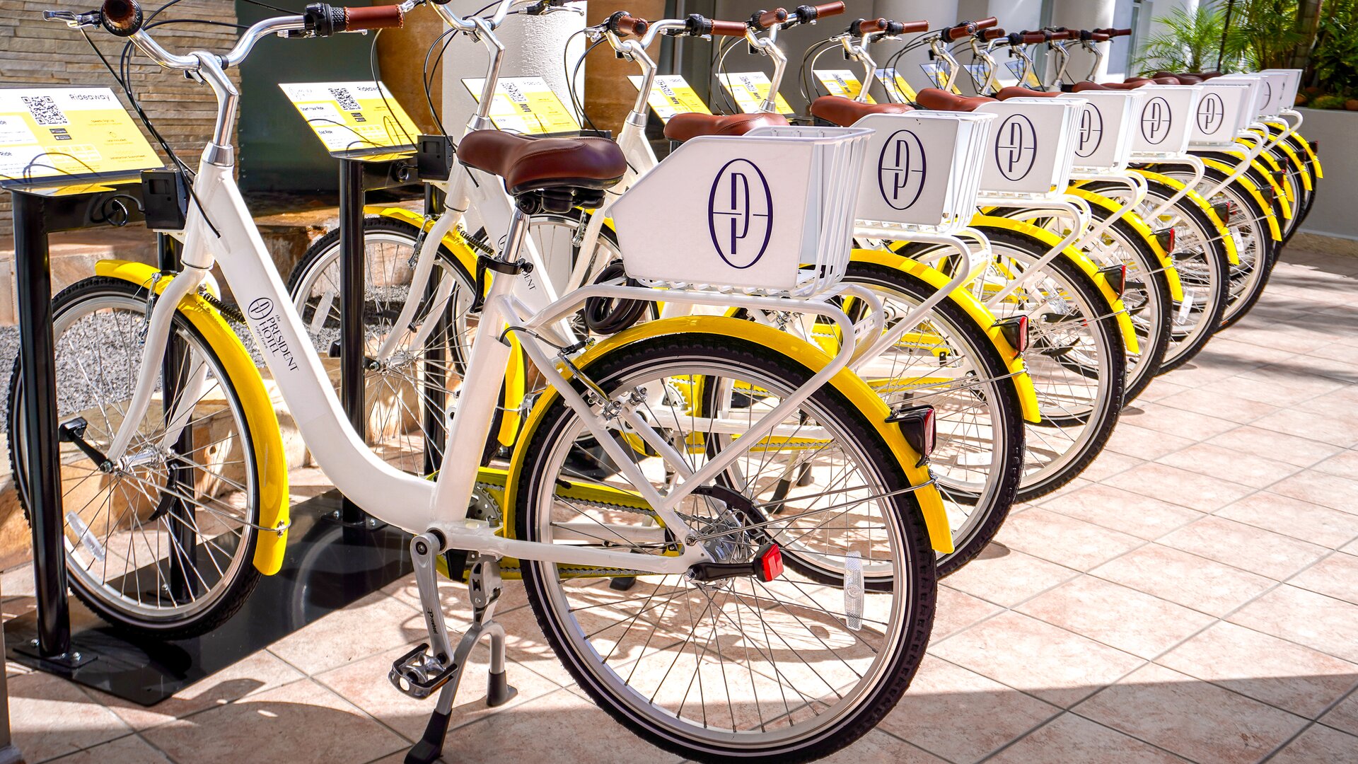 Bike Rentals