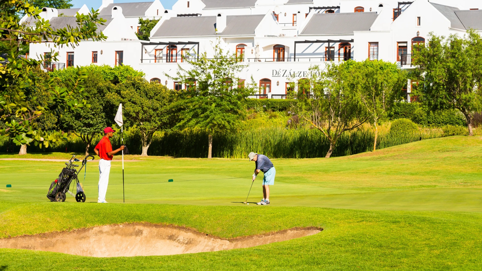 Guest Playing Golf