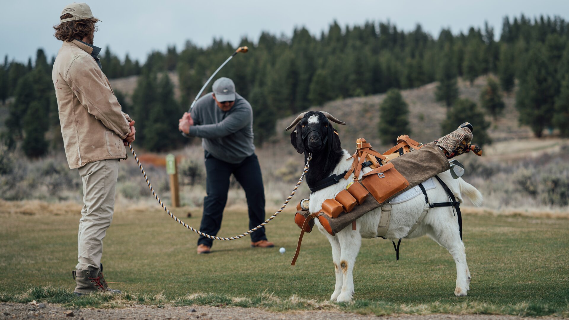 Golfing