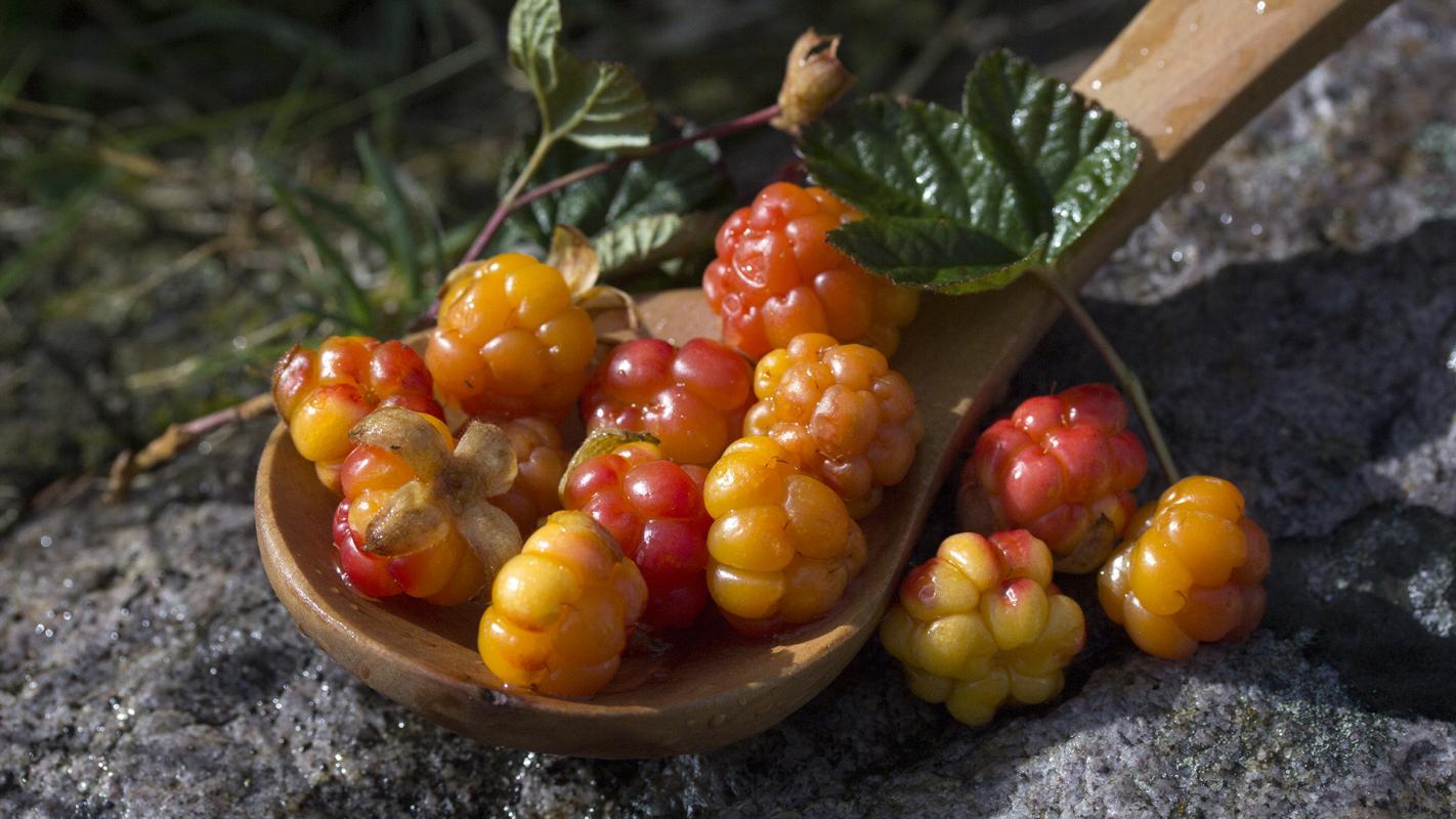 Cloudberries