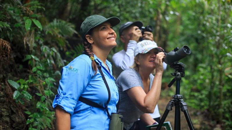 Rain Forest Encounter