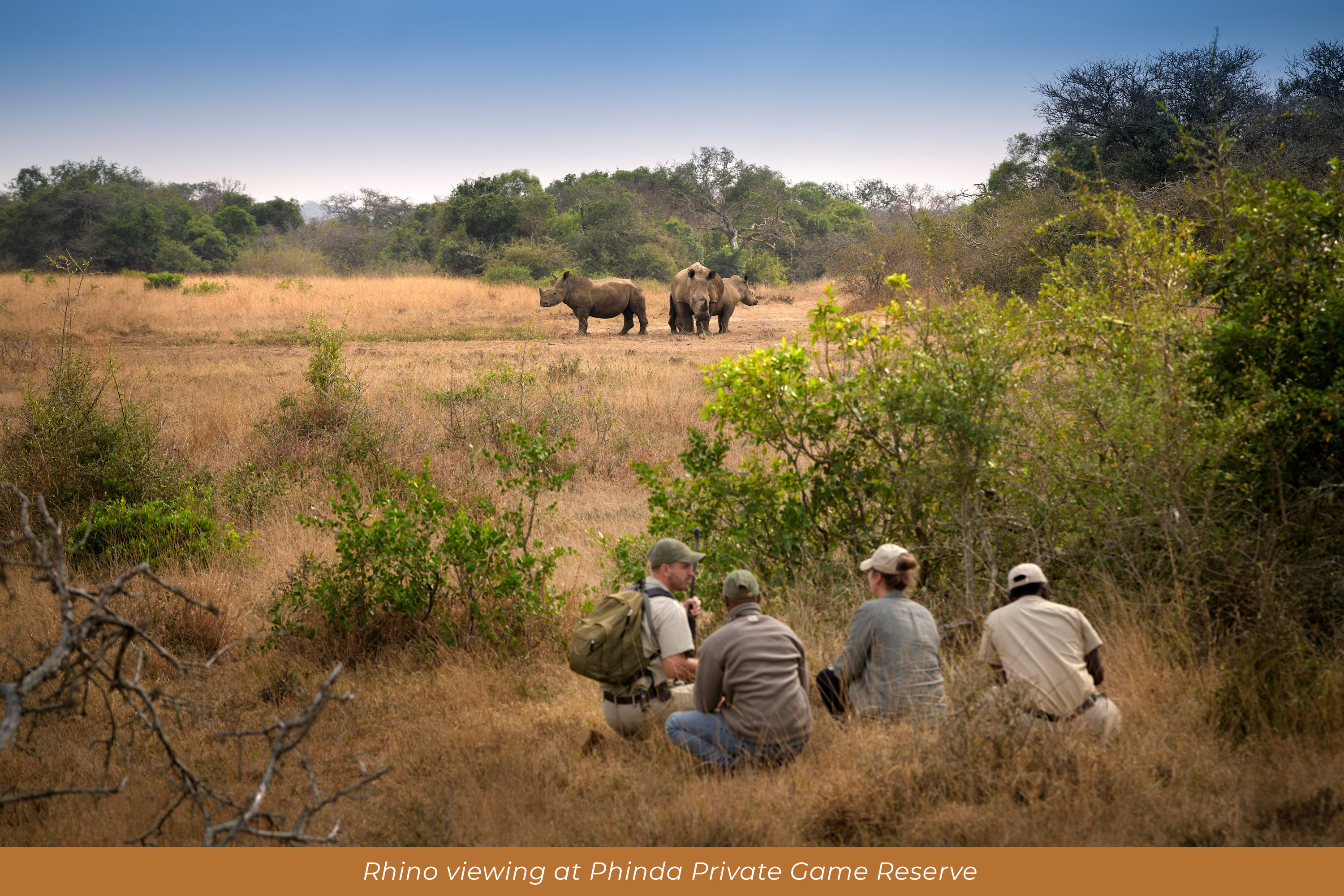 Rhino viewing at Phinda Private Game Reserve