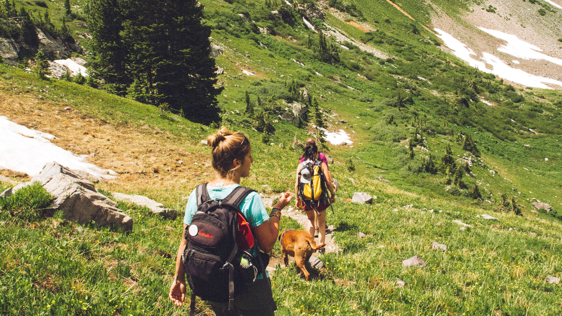 two friends hiking on a grassy hill with blue skies and a clear path