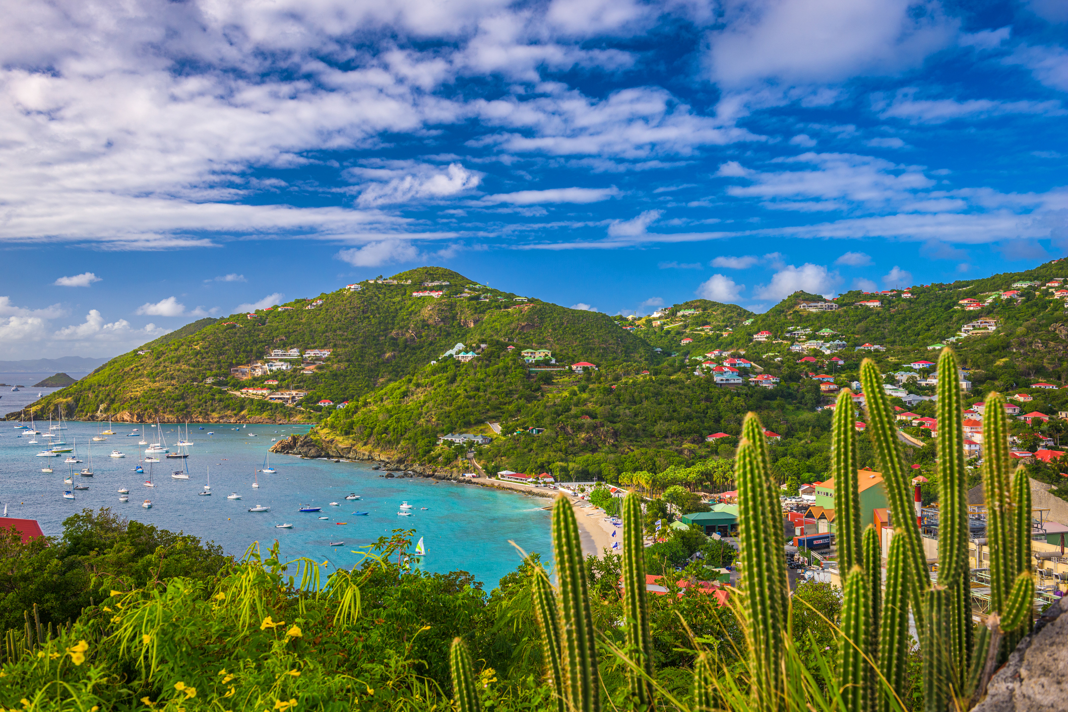 Caribbean