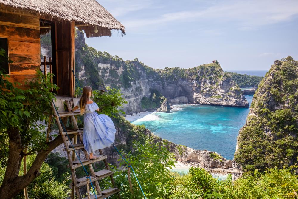 Treehouse view of tropical beach from Shutterstock