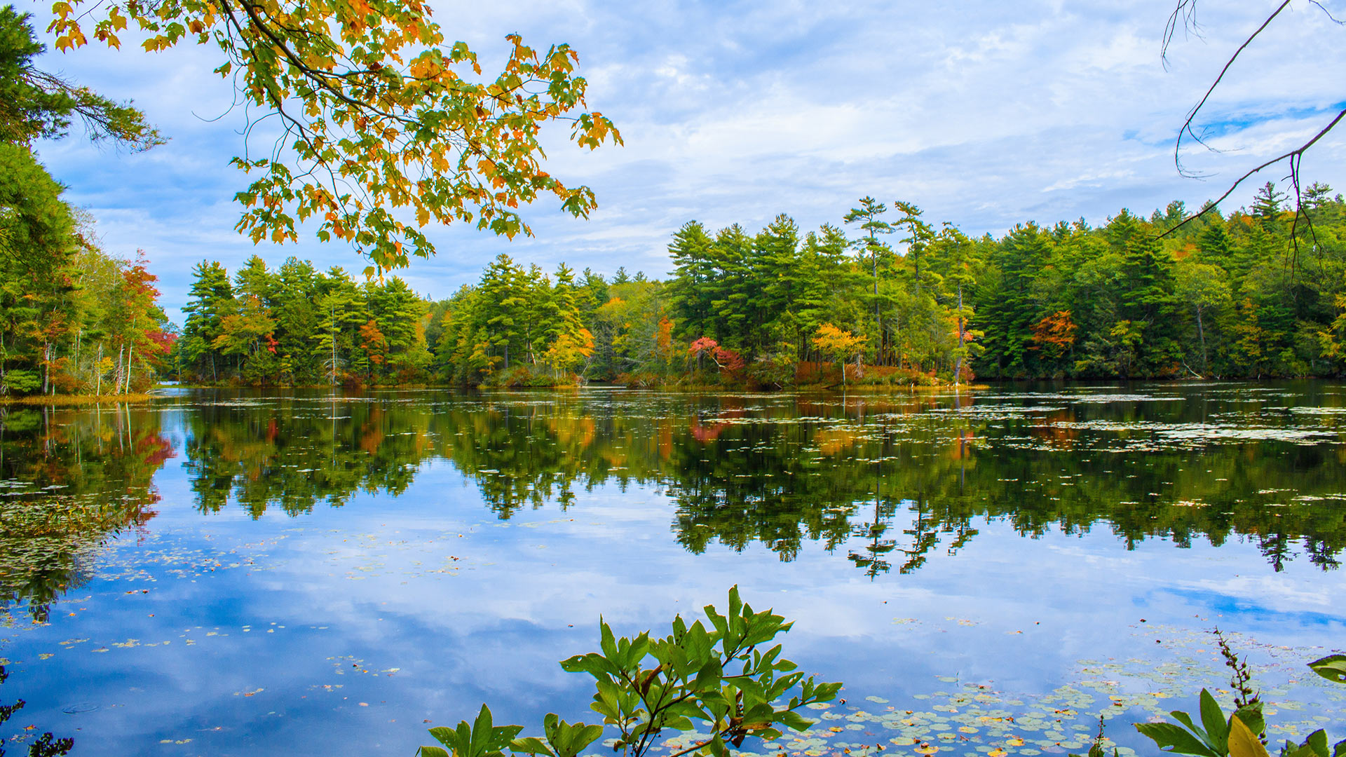 nipmuck state forest